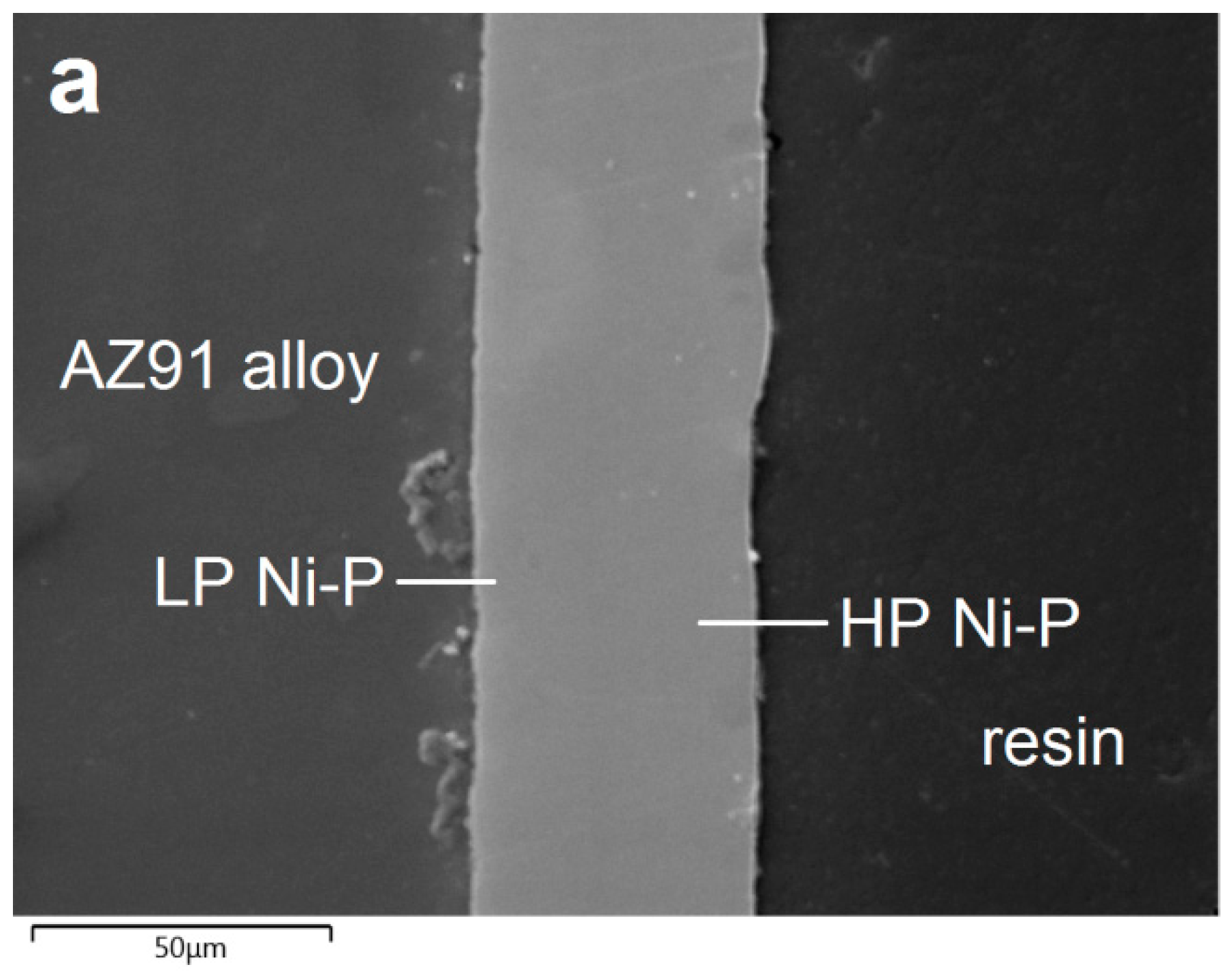 Materials 13 01357 g003a