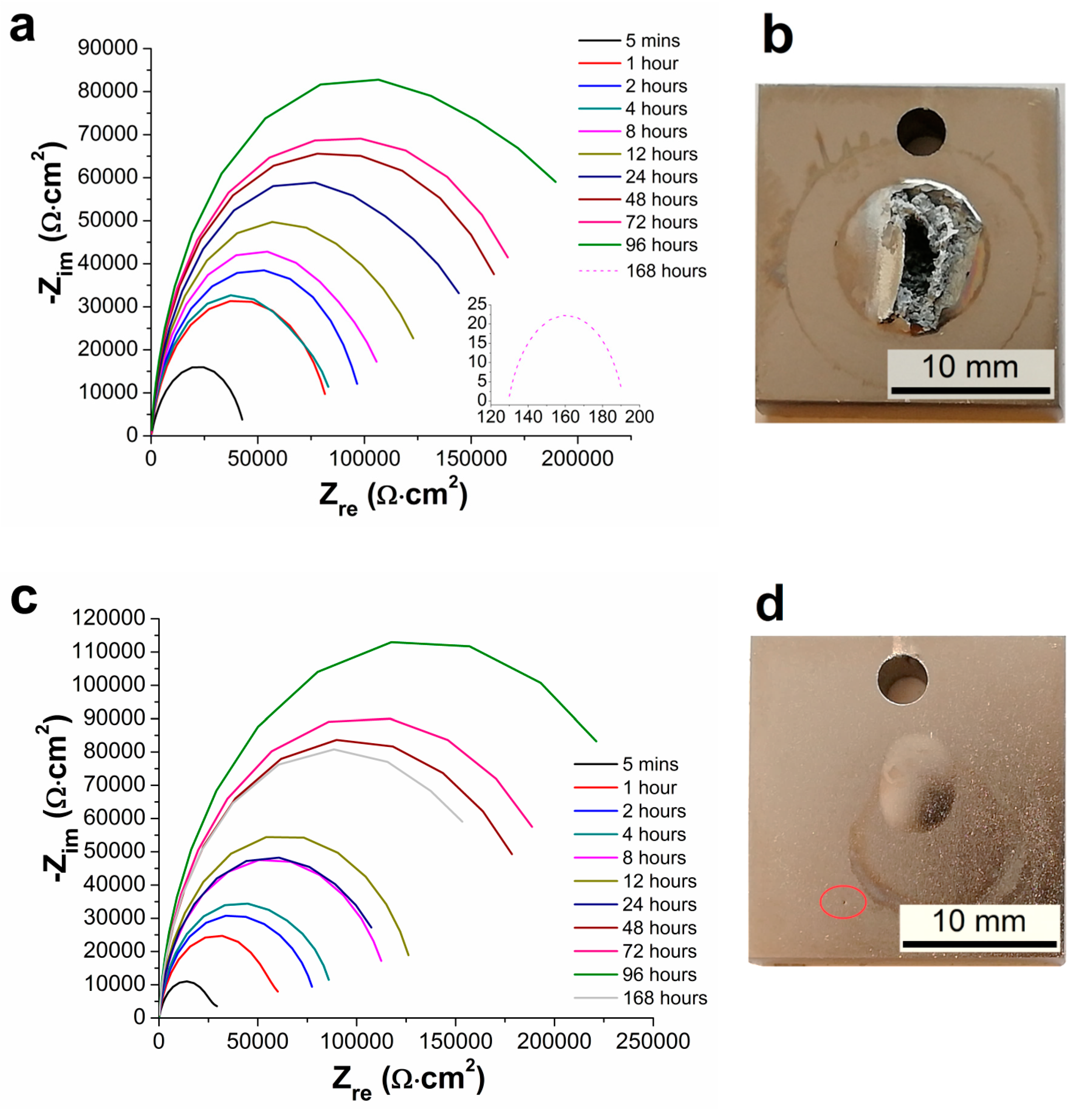 Materials 13 01357 g006a