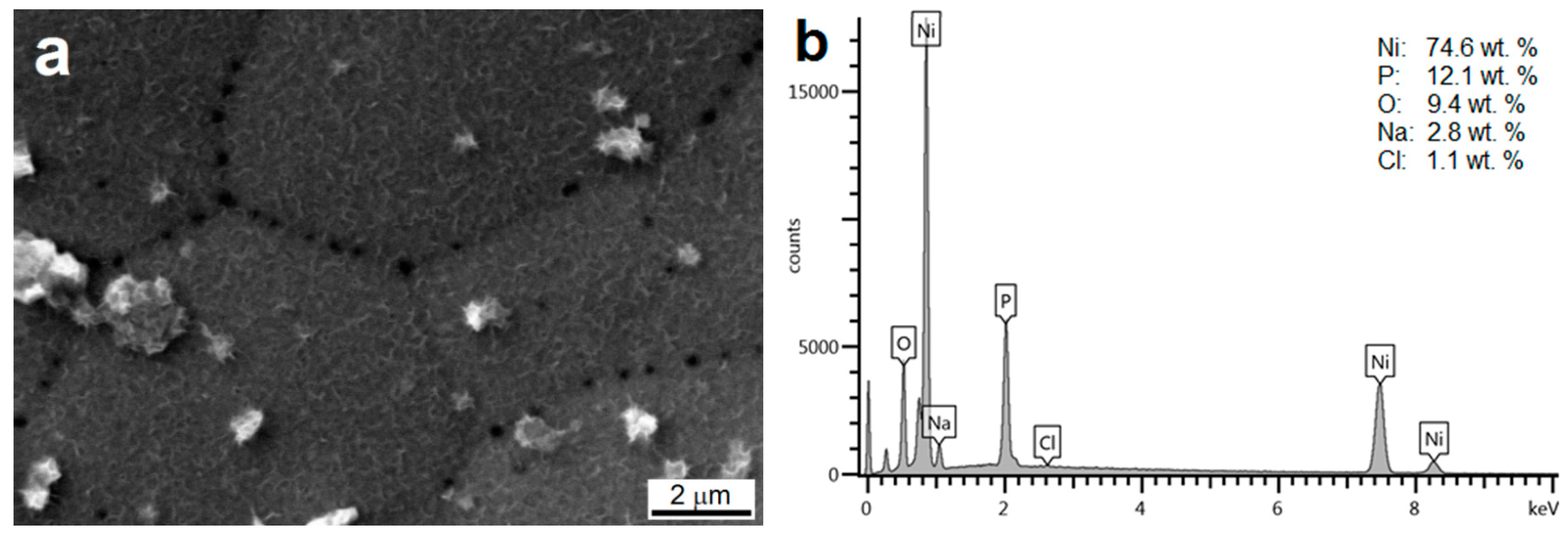 Materials 13 01357 g008