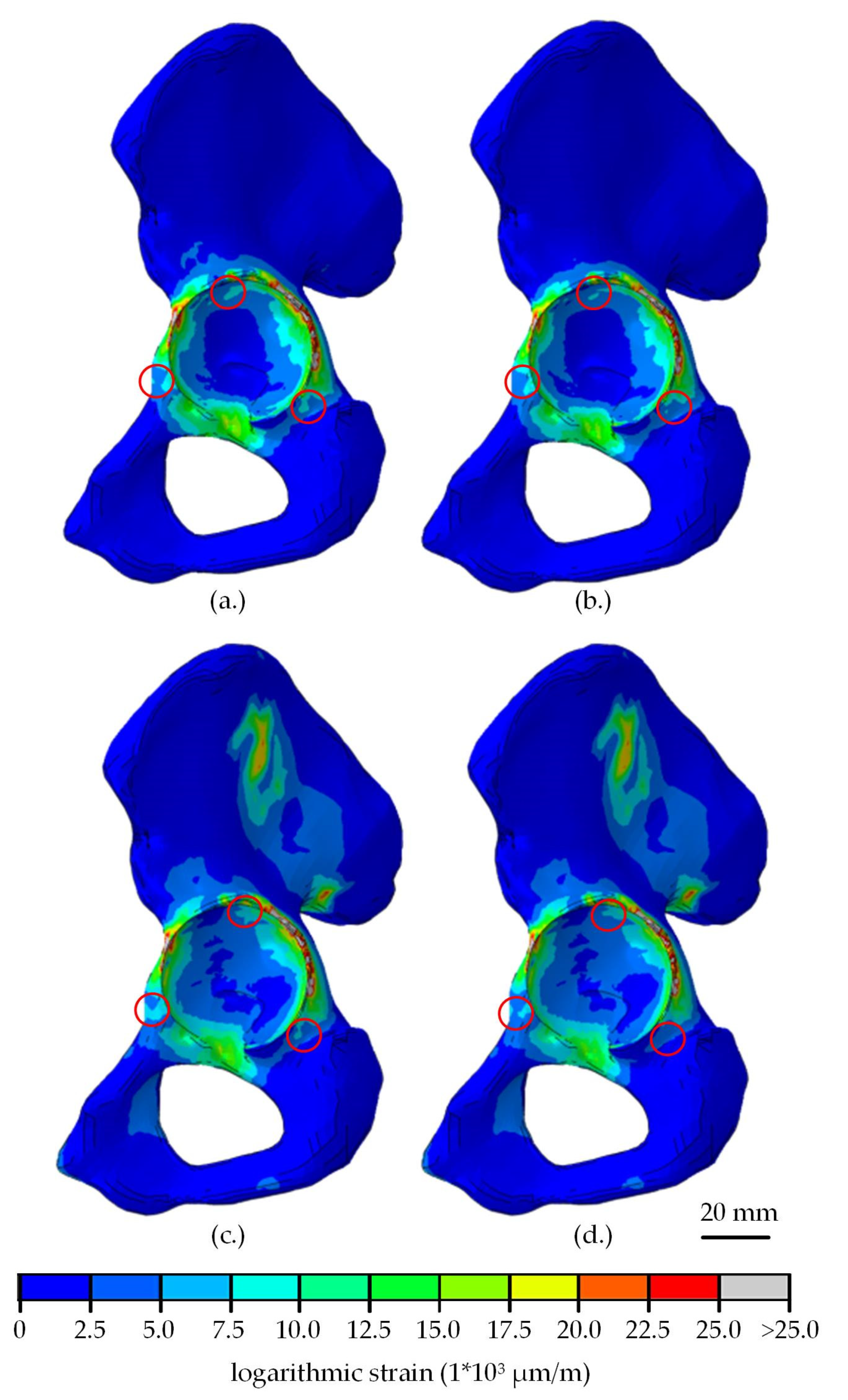Materials 13 01372 g005