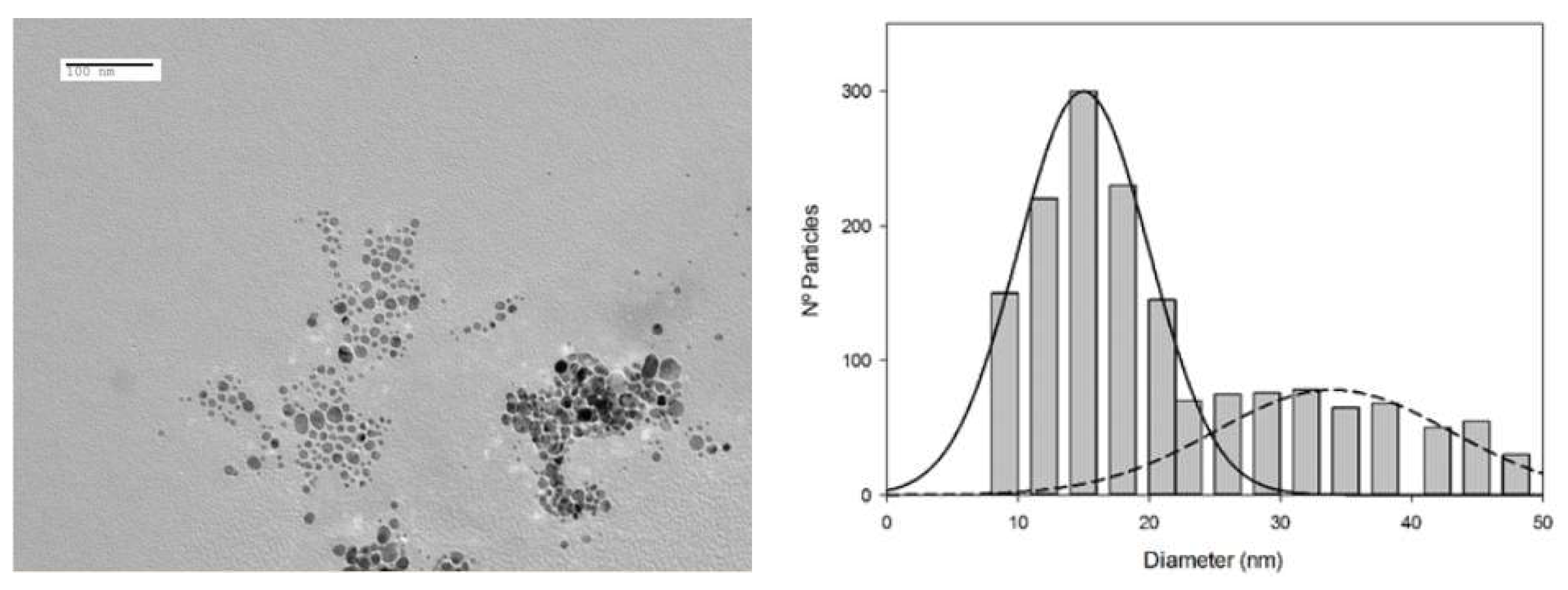 Materials 13 01373 g001