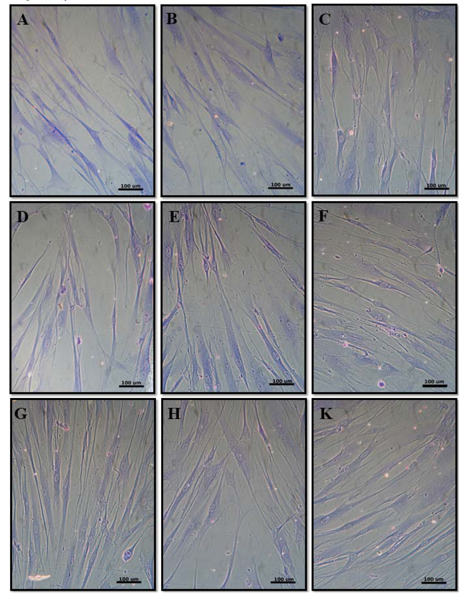 Materials 13 01374 g004