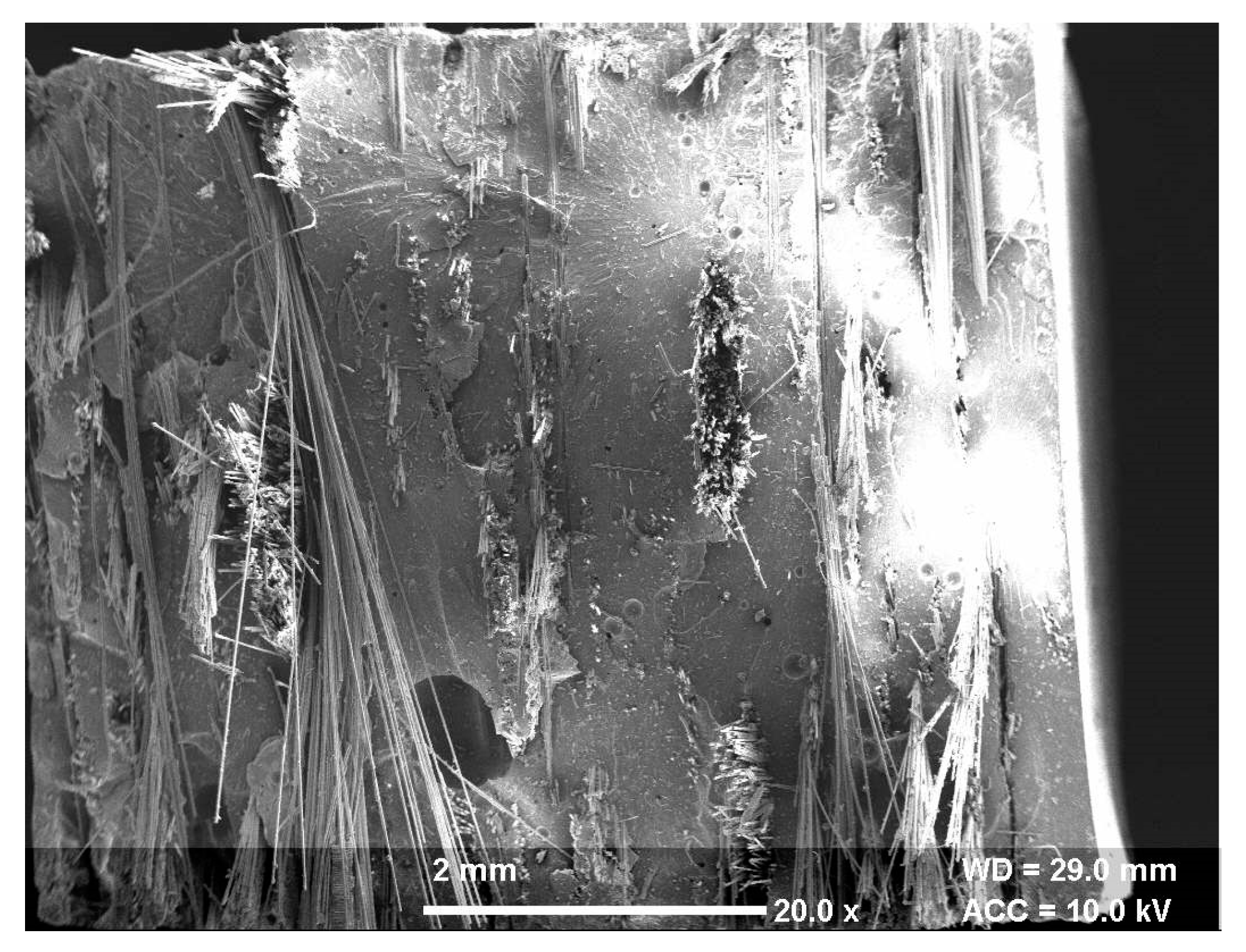 Materials 13 01381 g002