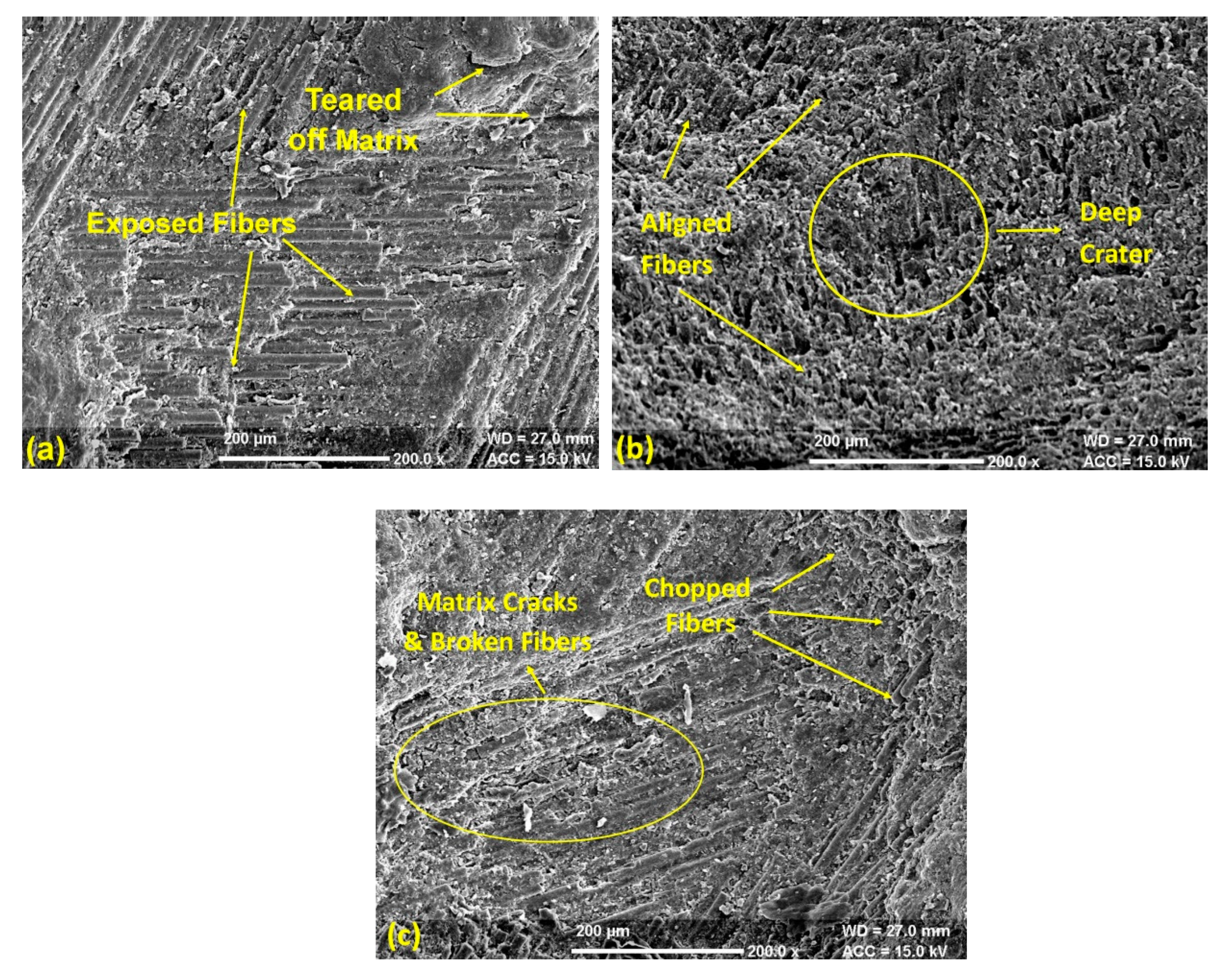 Materials 13 01381 g009