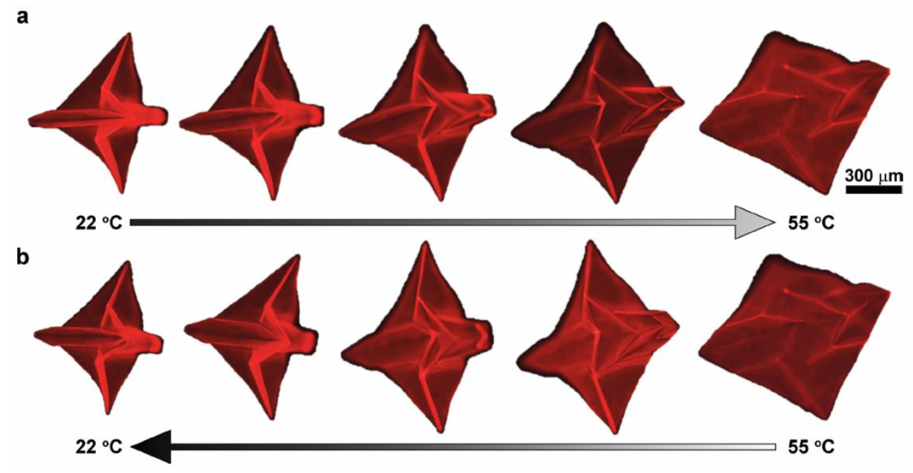 Materials 13 01383 g004