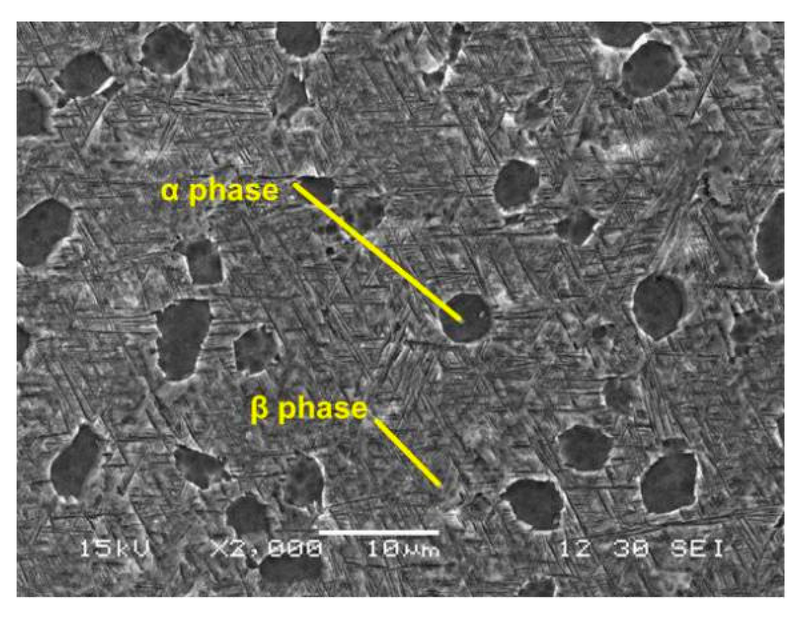 Materials 13 01398 g002 Materials 13 01398 g002