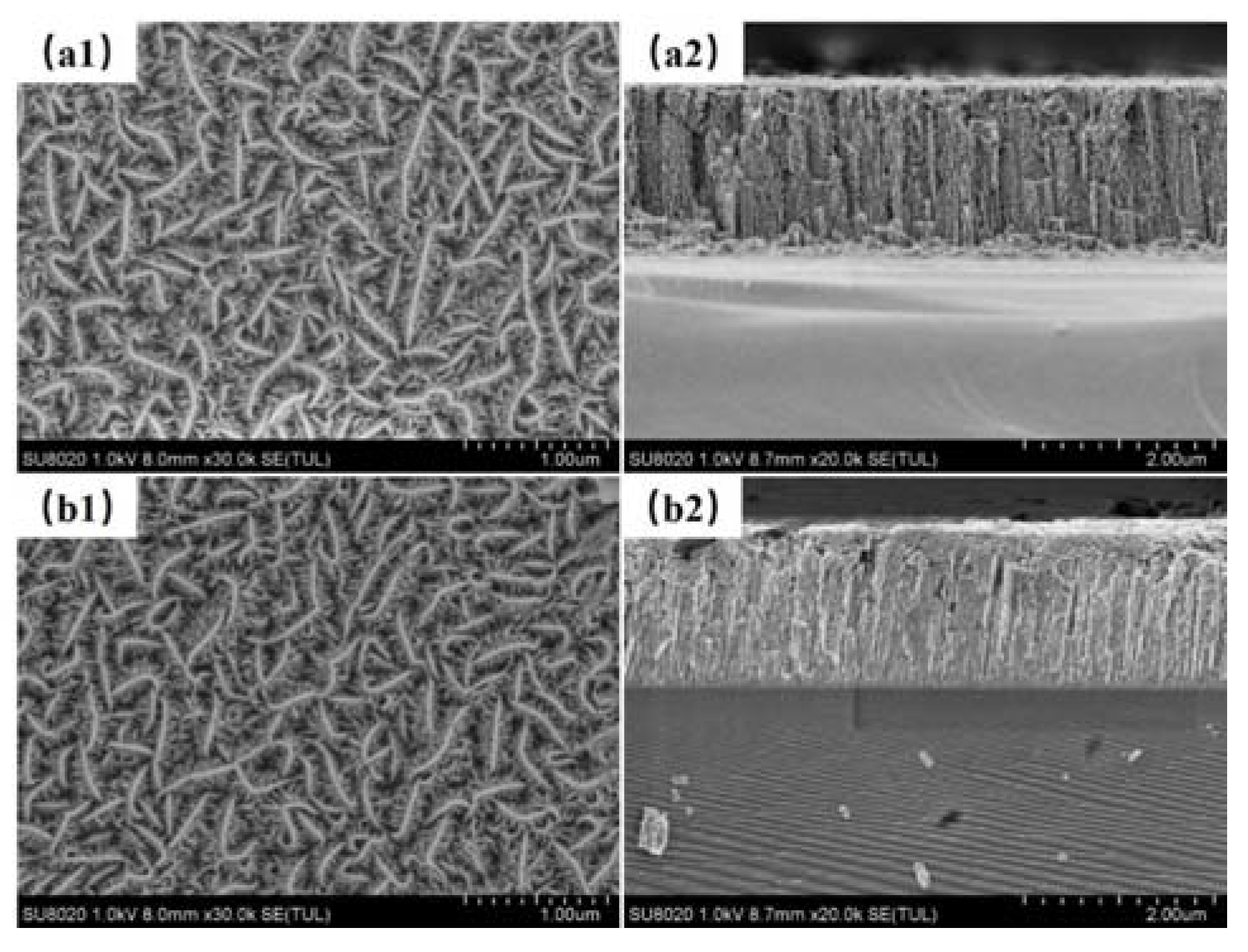 Materials 13 01407 g003