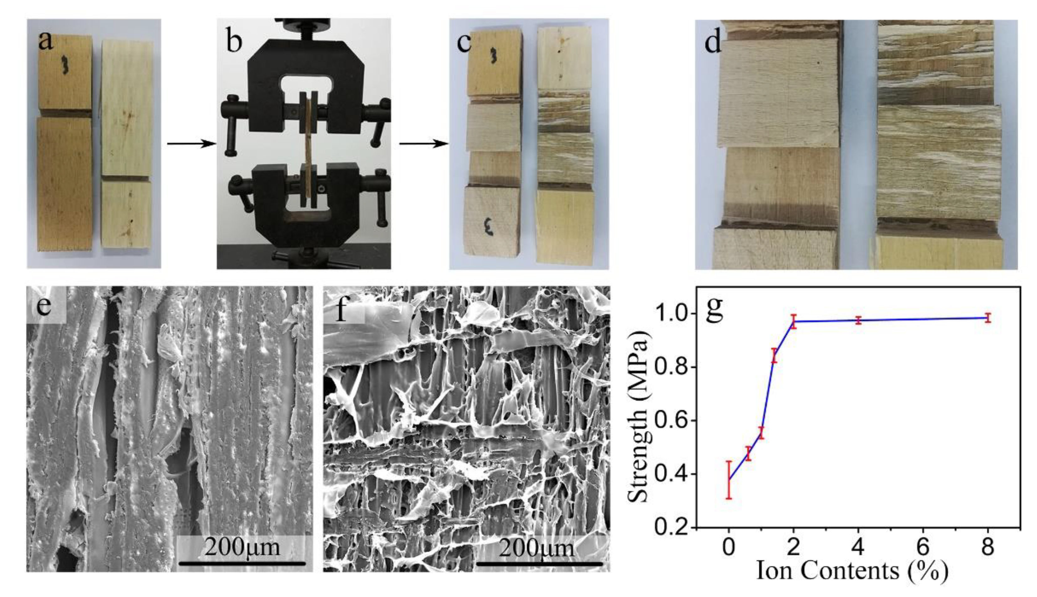 Materials 13 01412 g005