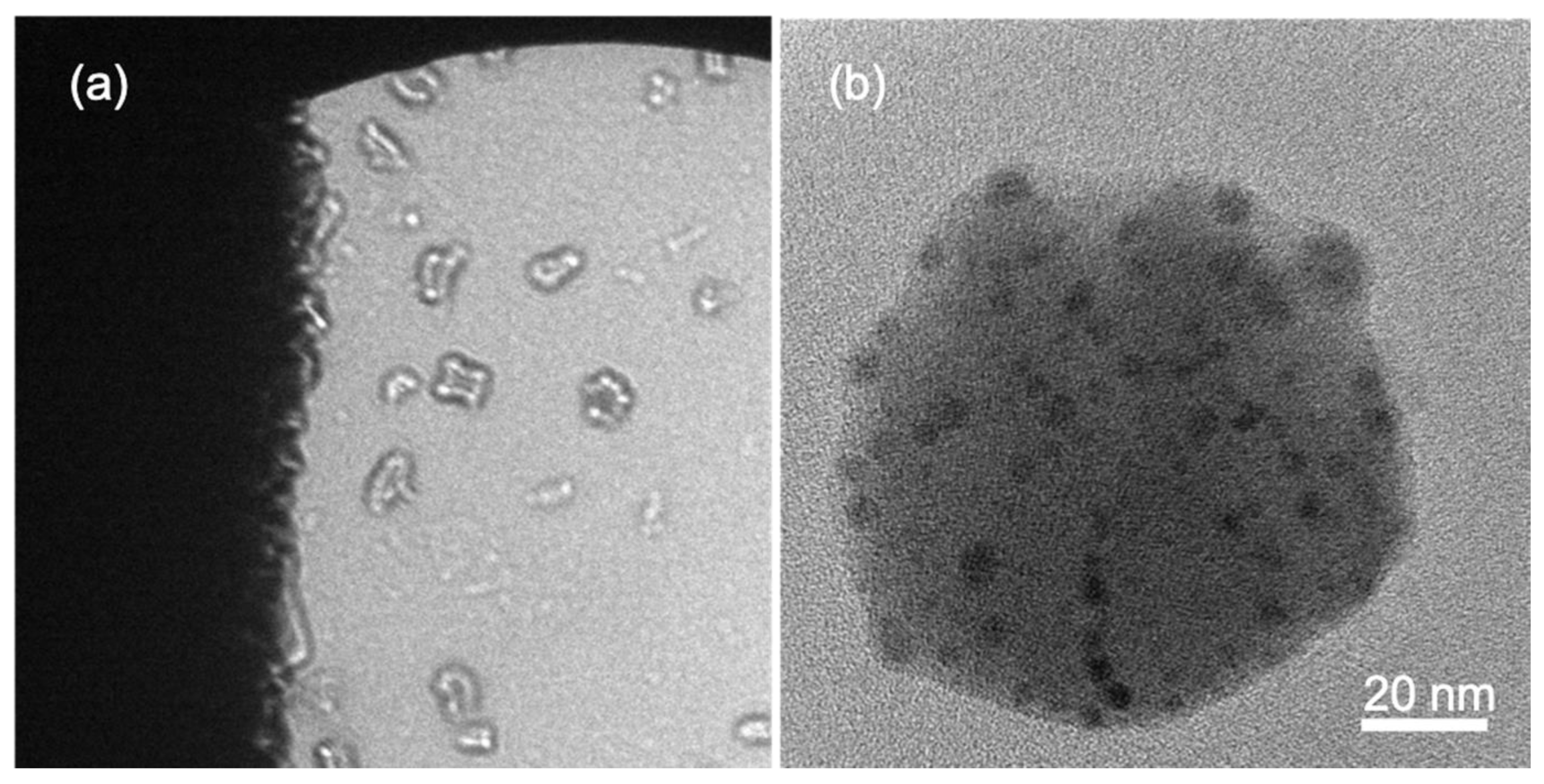 Materials 13 01413 g010