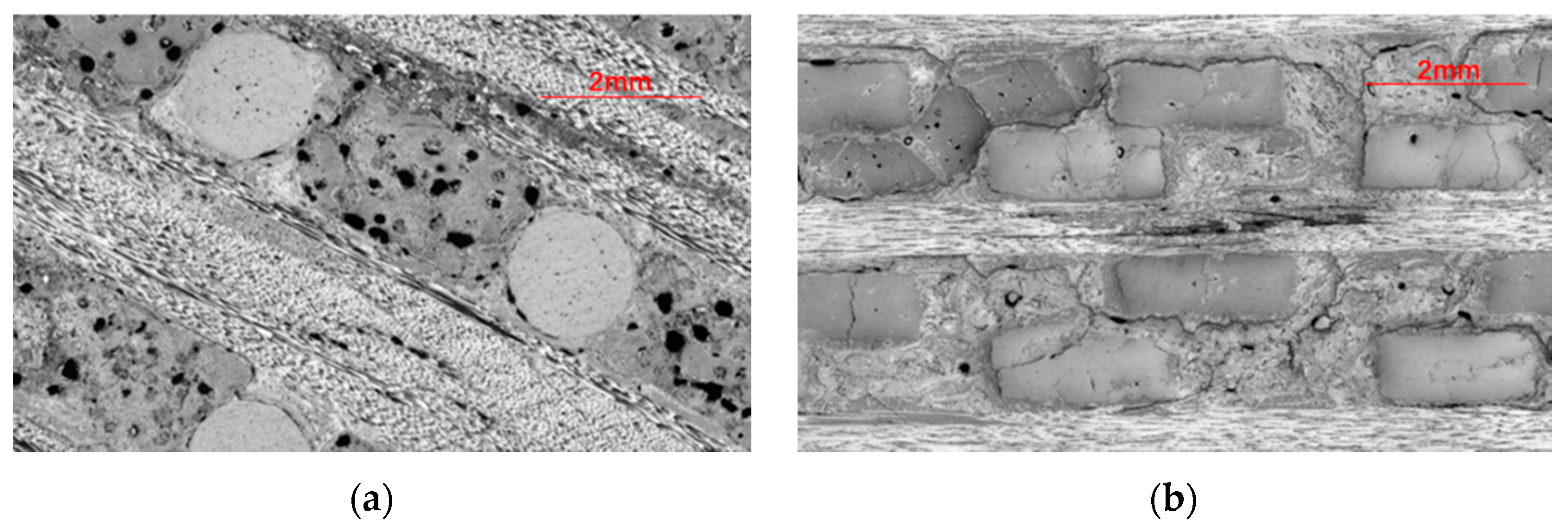 Materials 13 01414 g005a Materials 13 01414 g005a