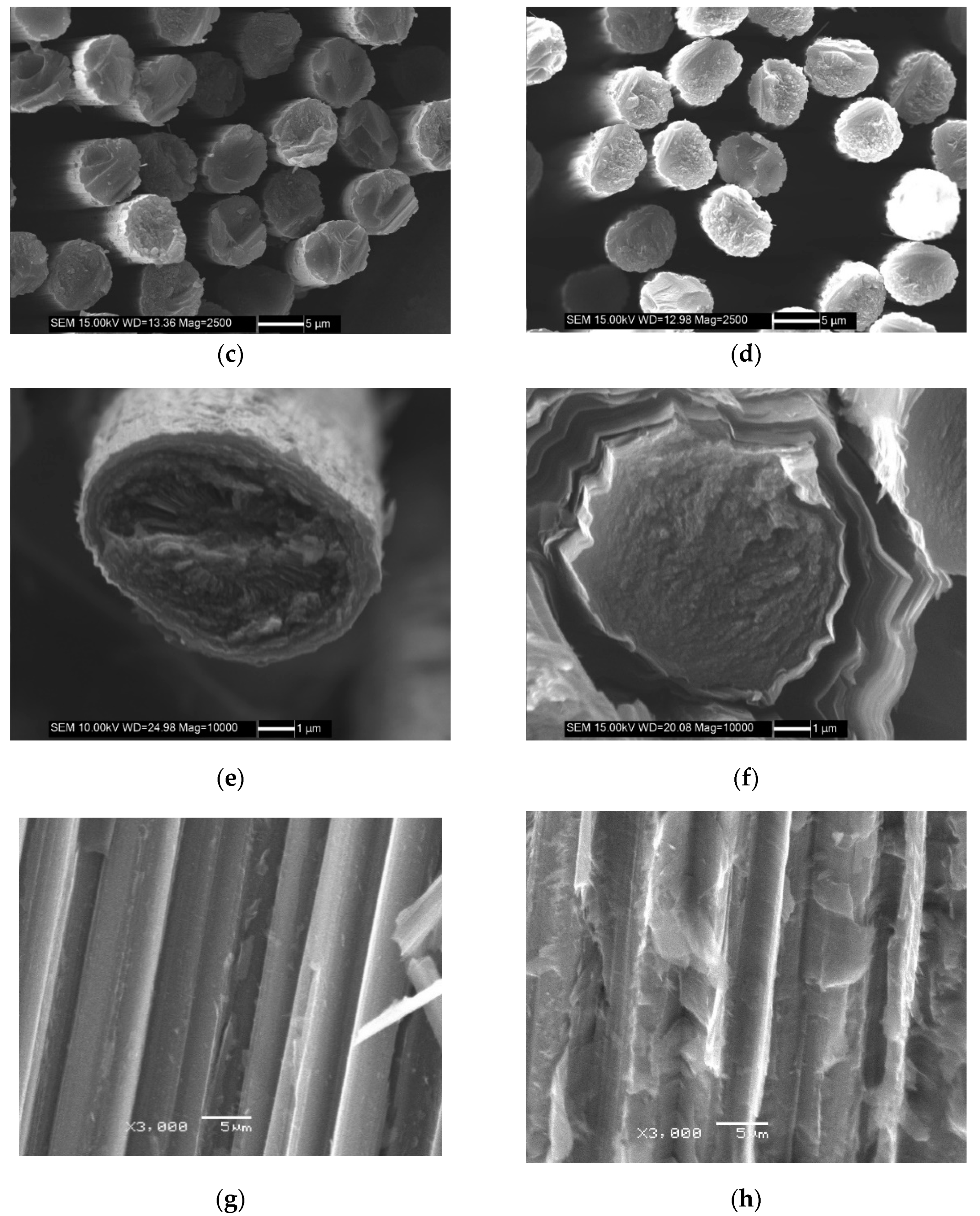 Materials 13 01414 g005b Materials 13 01414 g005b