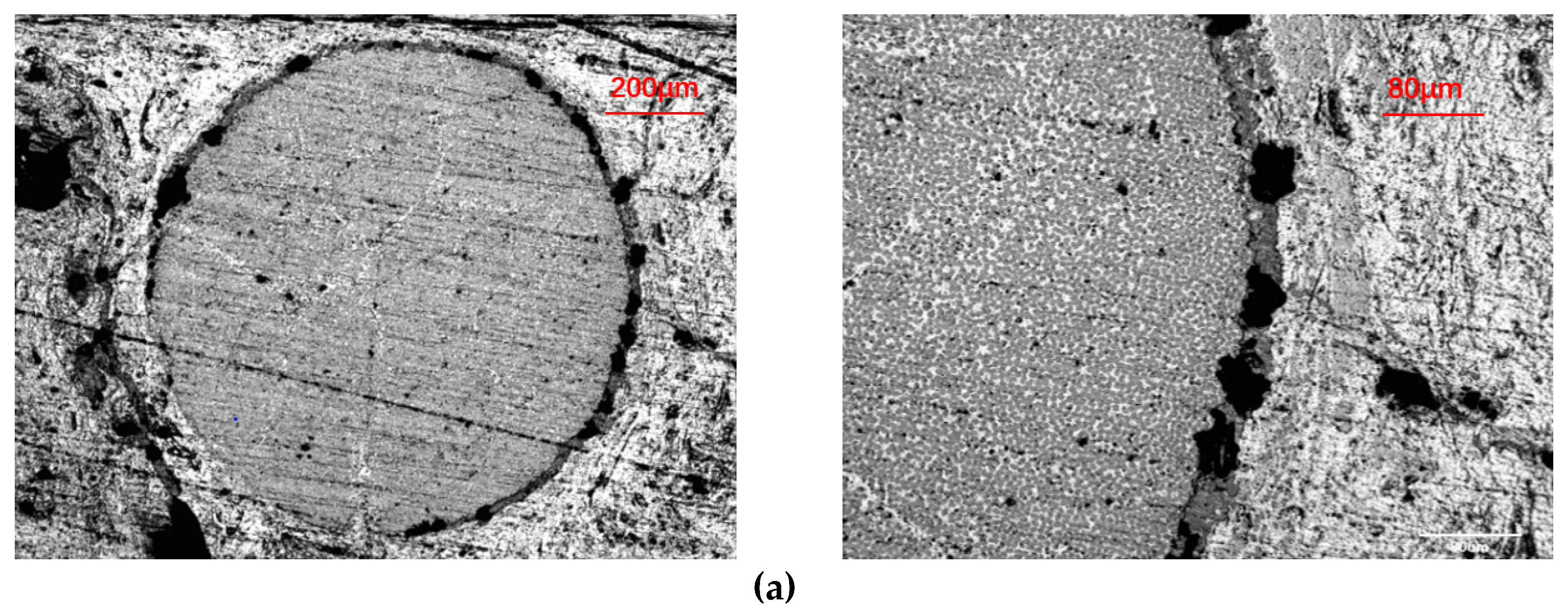 Materials 13 01414 g010a Materials 13 01414 g010a