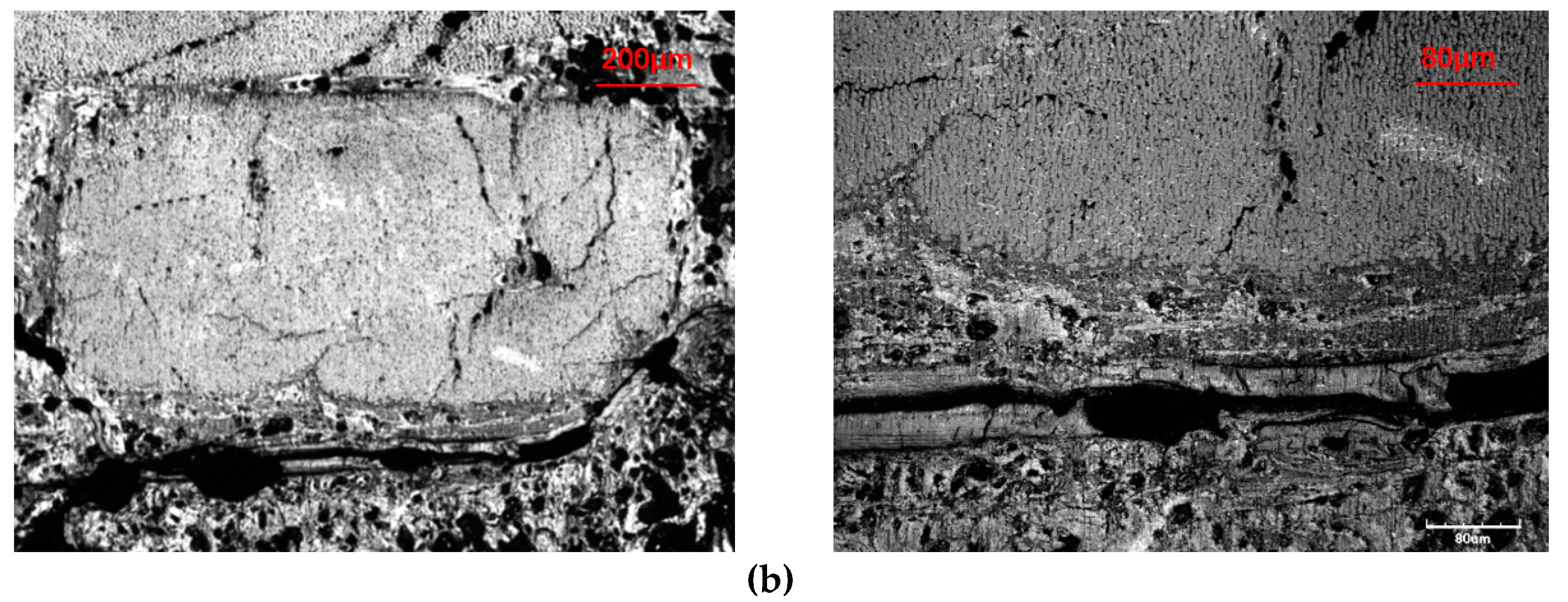 Materials 13 01414 g010b Materials 13 01414 g010b