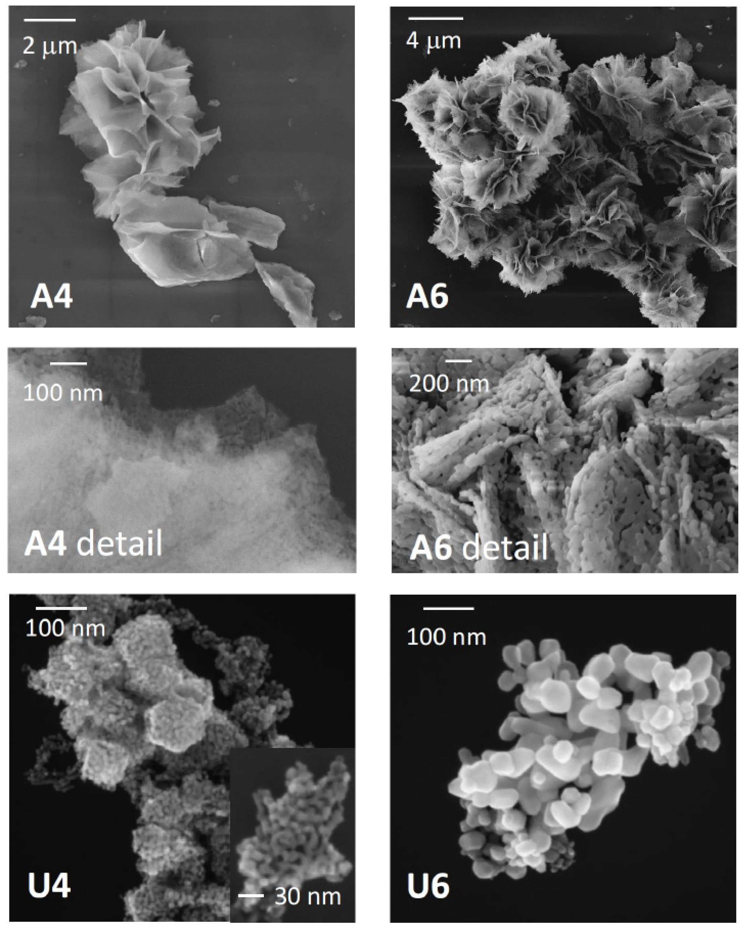 Materials 13 01417 g002