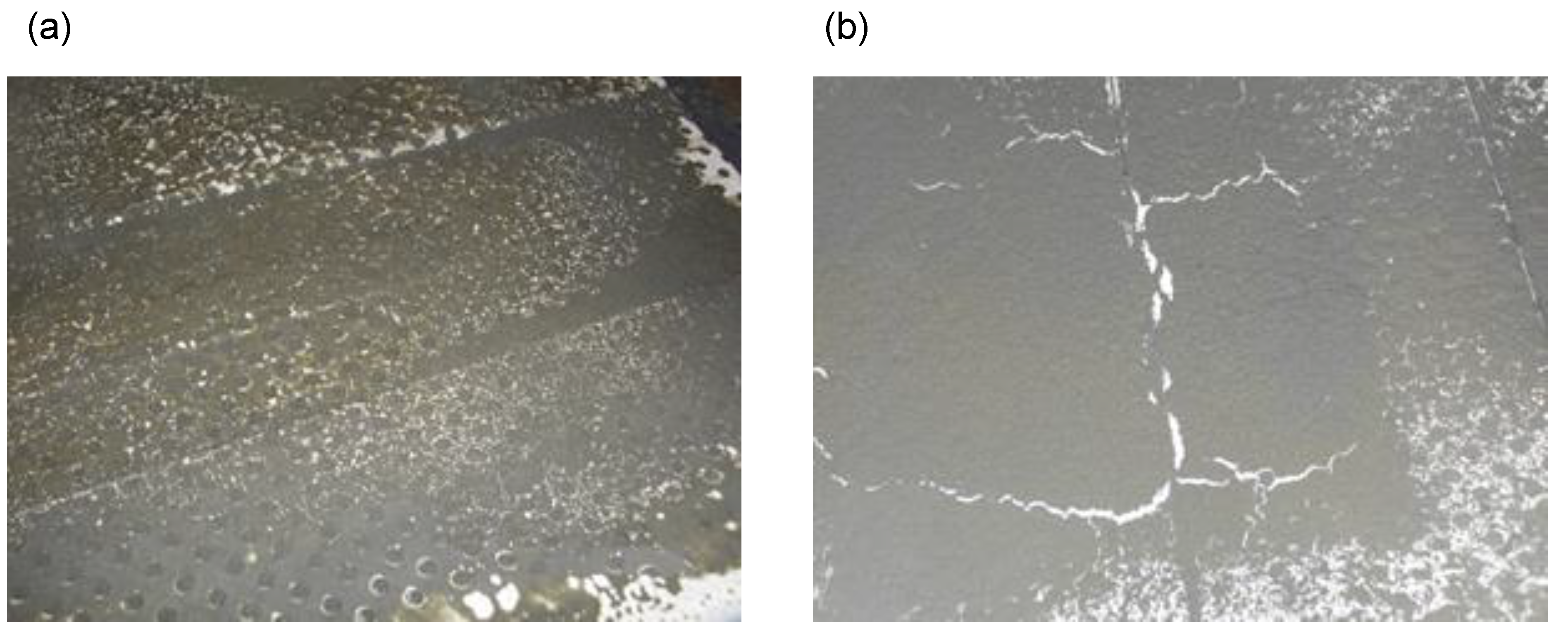 Materials 13 01422 g005