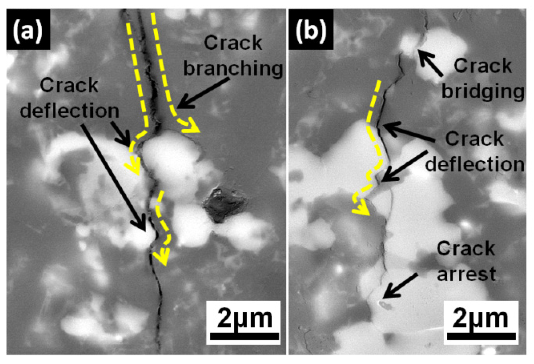 Materials 13 01428 g007