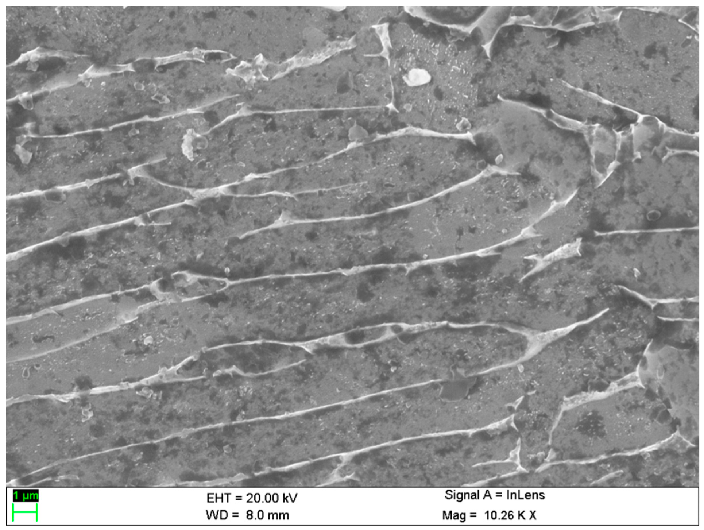 Materials 13 01440 g002