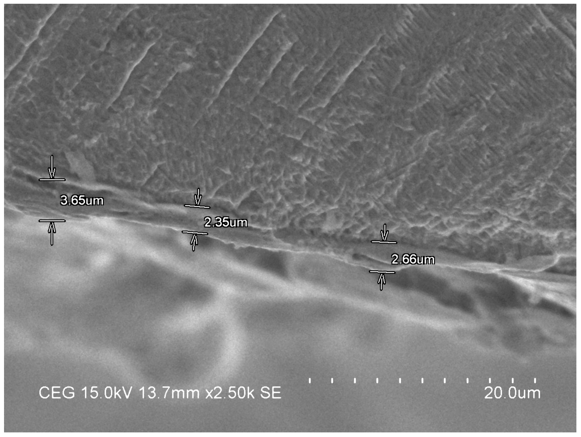 Materials 13 01440 g005