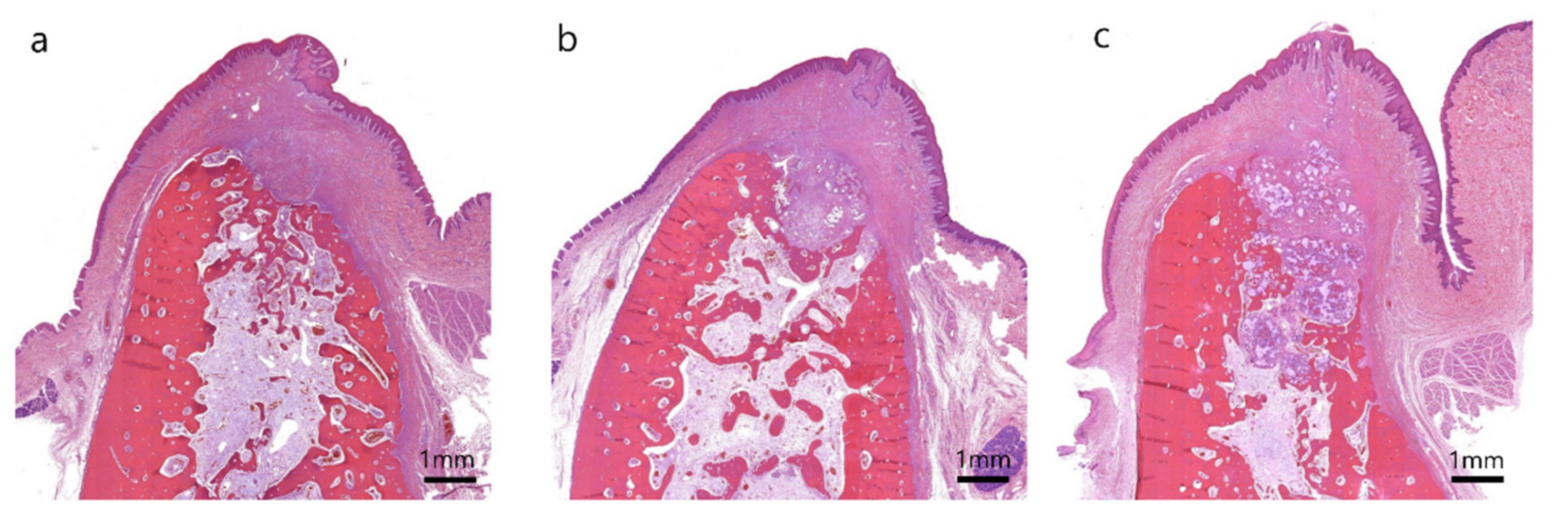 Materials 13 01452 g005