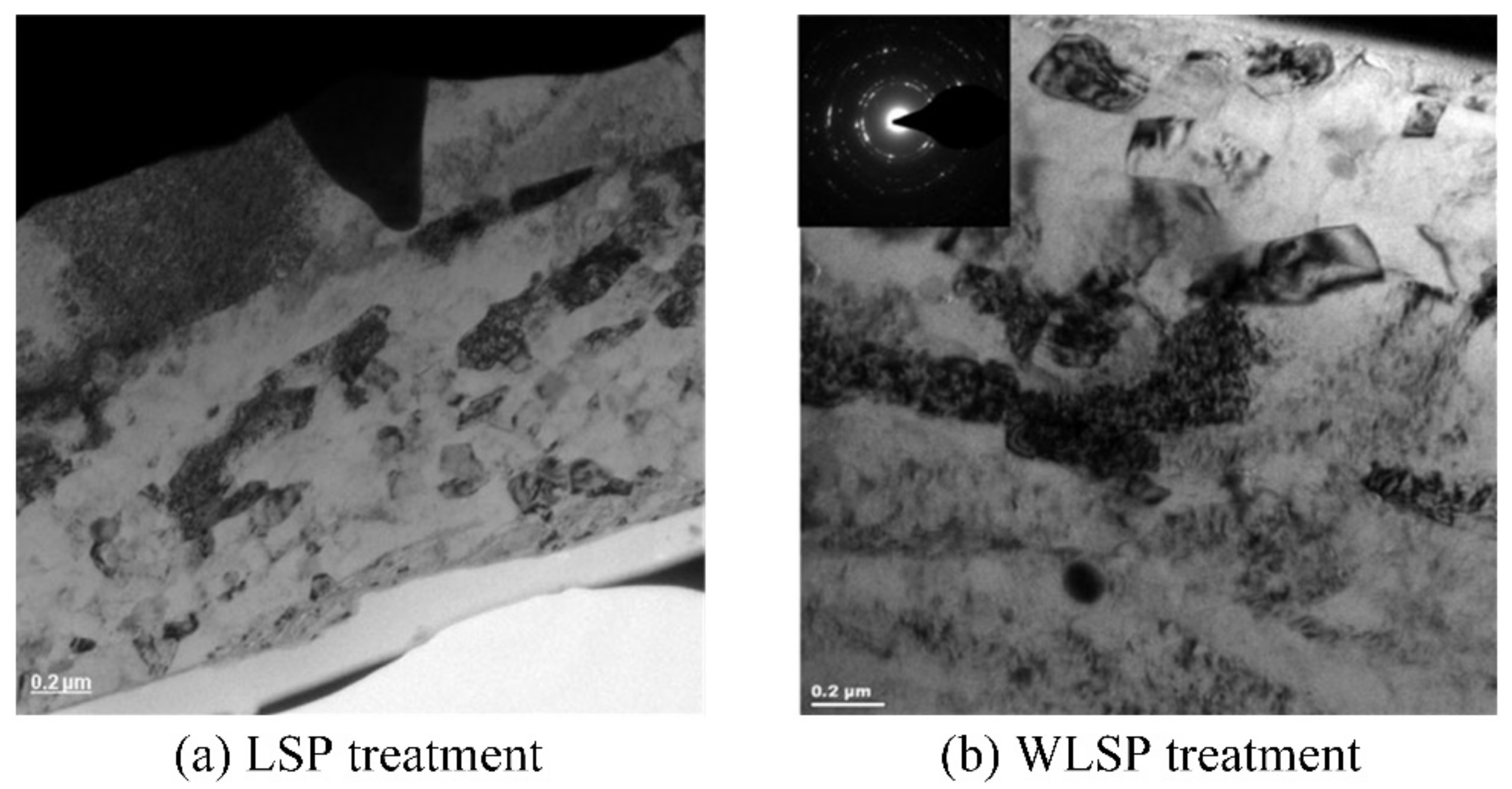 Materials 13 01453 g013
