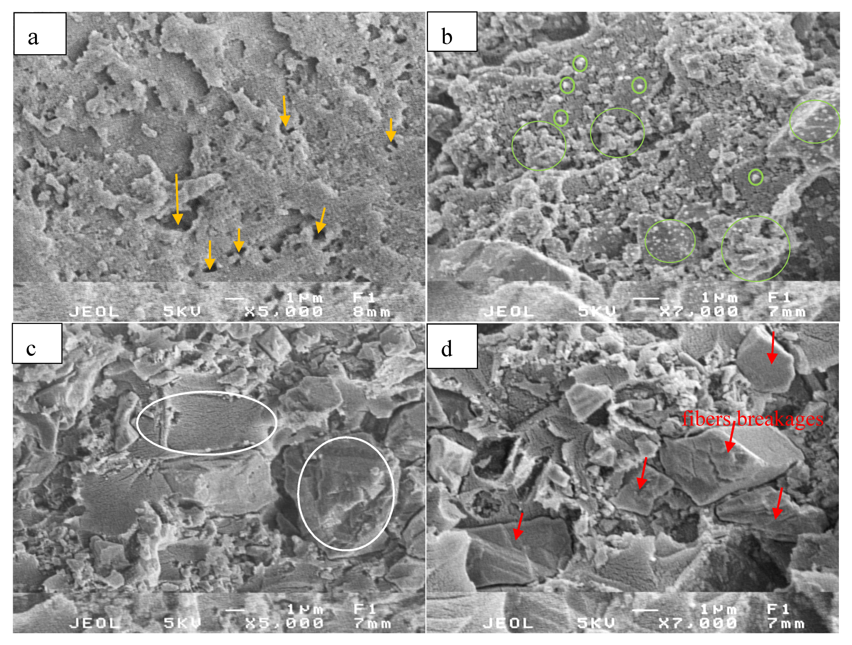 Materials 13 01461 g005