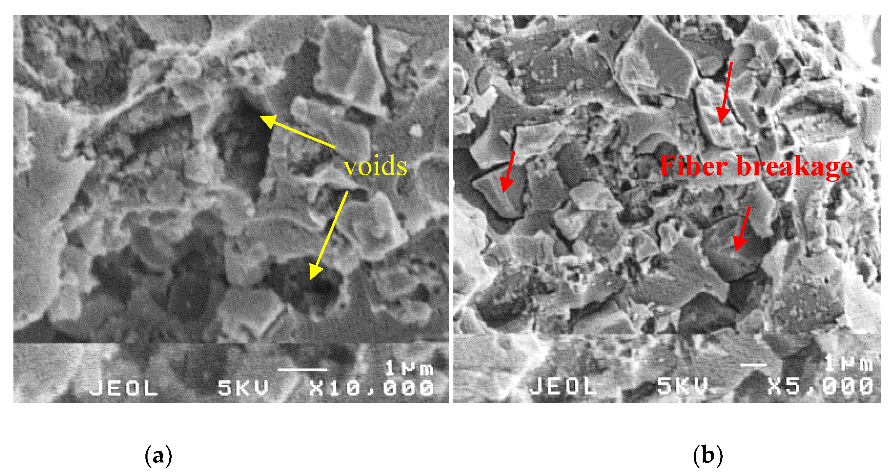 Materials 13 01461 g007