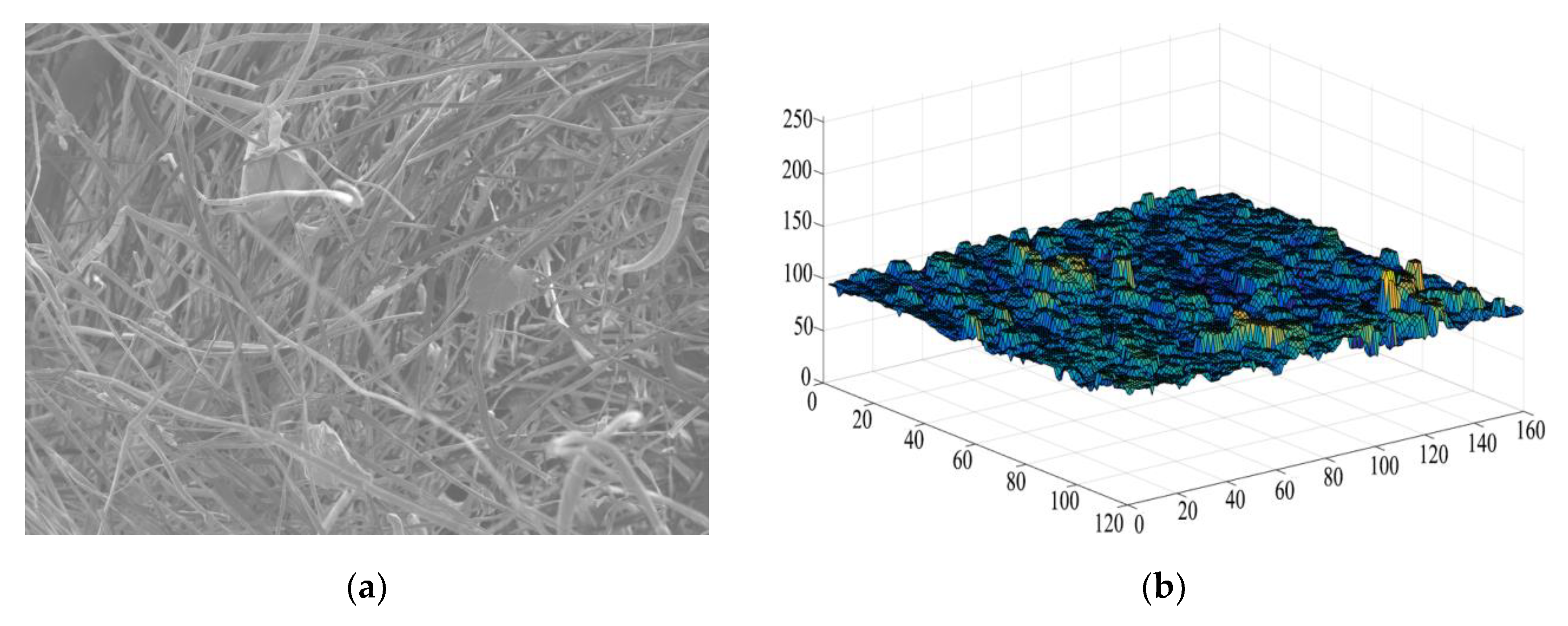 Materials 13 01465 g006a