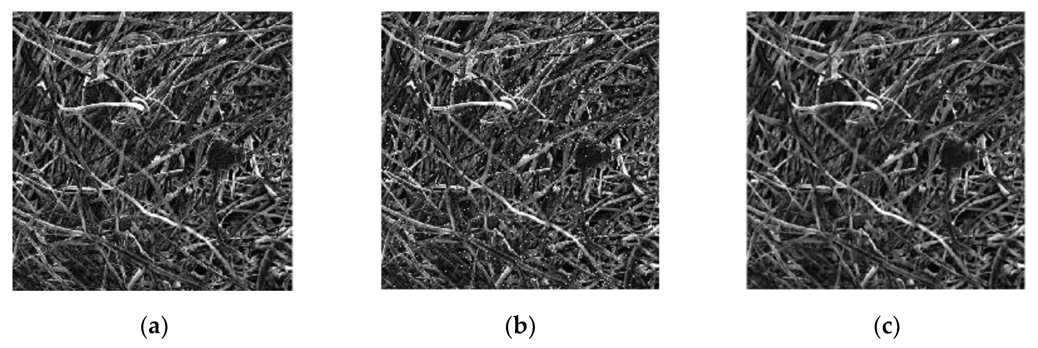 Materials 13 01465 g008