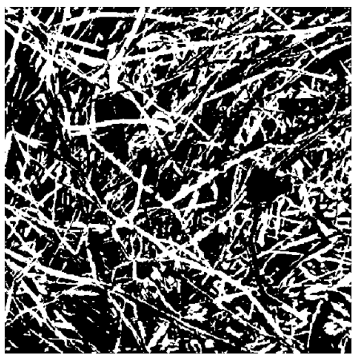 Materials 13 01465 g009