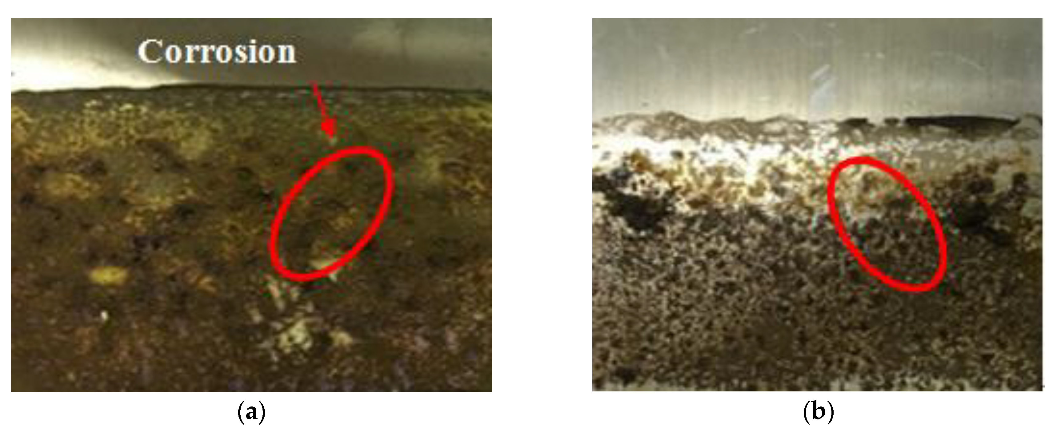 Materials 13 01466 g006