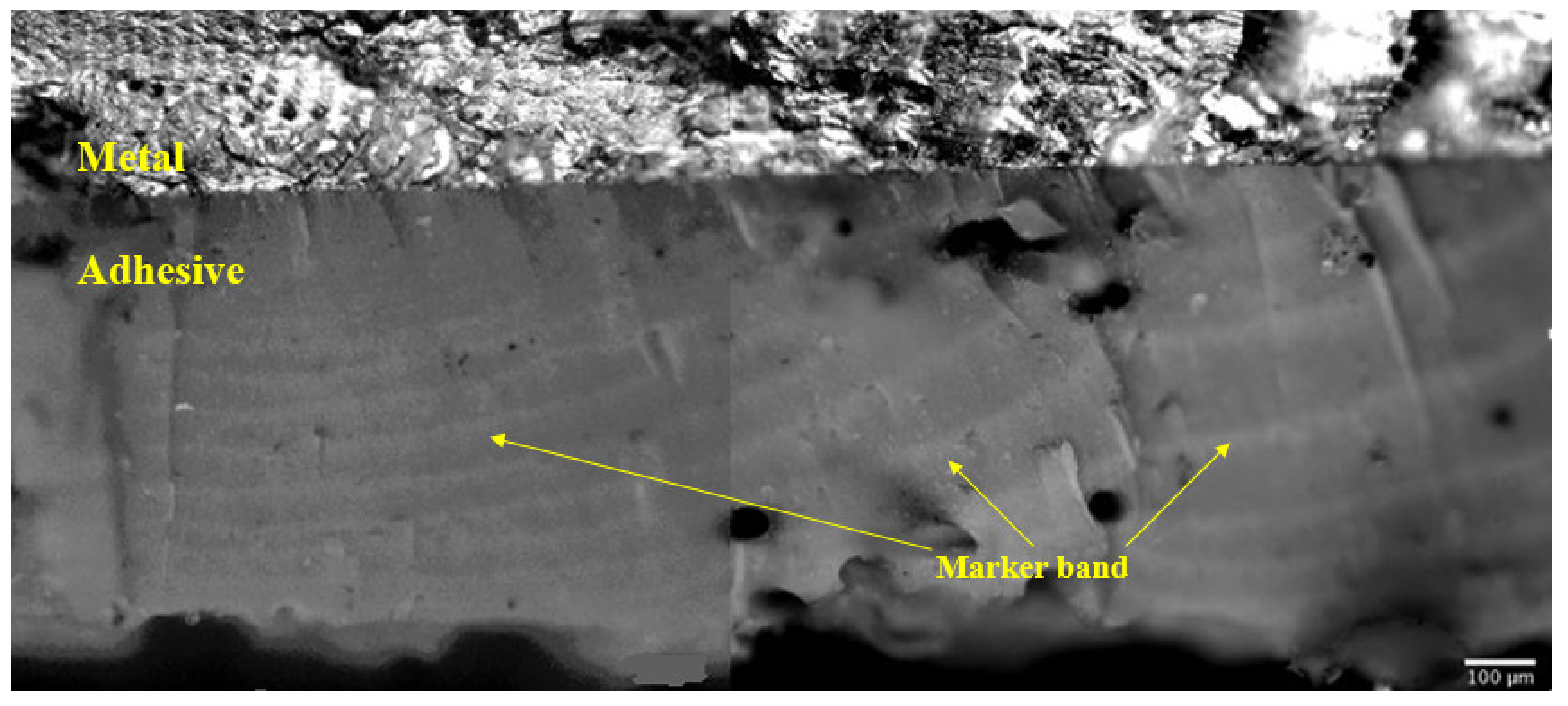 Materials 13 01468 g002