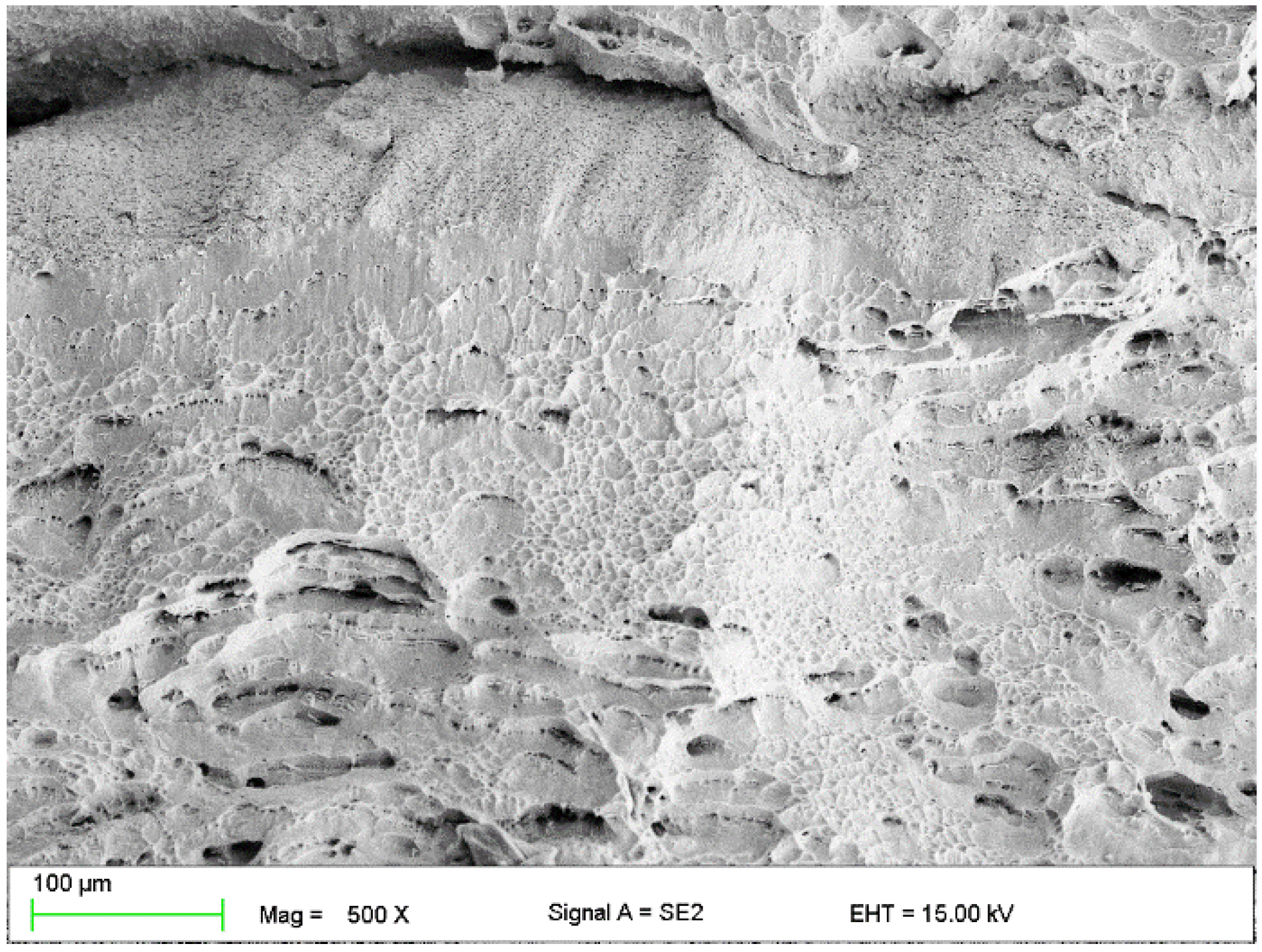 Materials 13 01489 g009