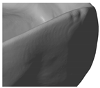 Materials 13 01492 i007 Materials 13 01492 i007