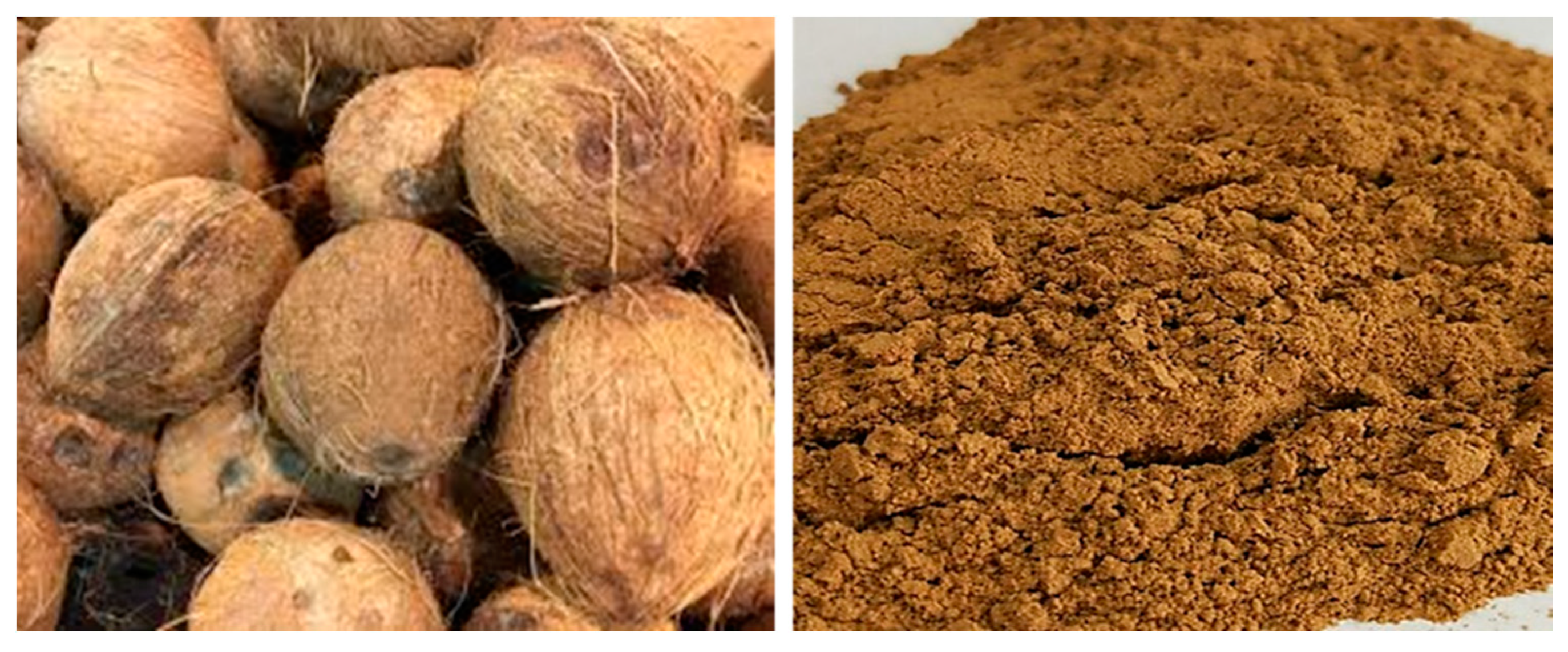 Materials 13 01495 g008