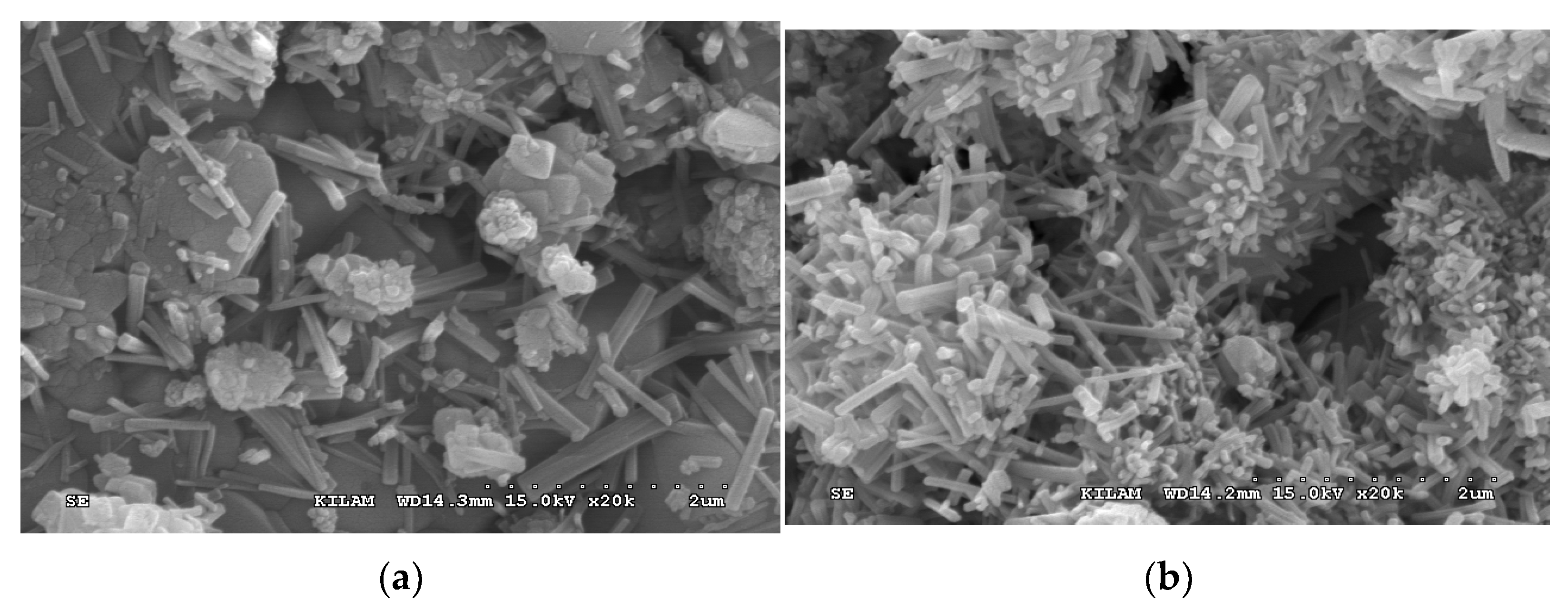 Materials 13 01505 g019