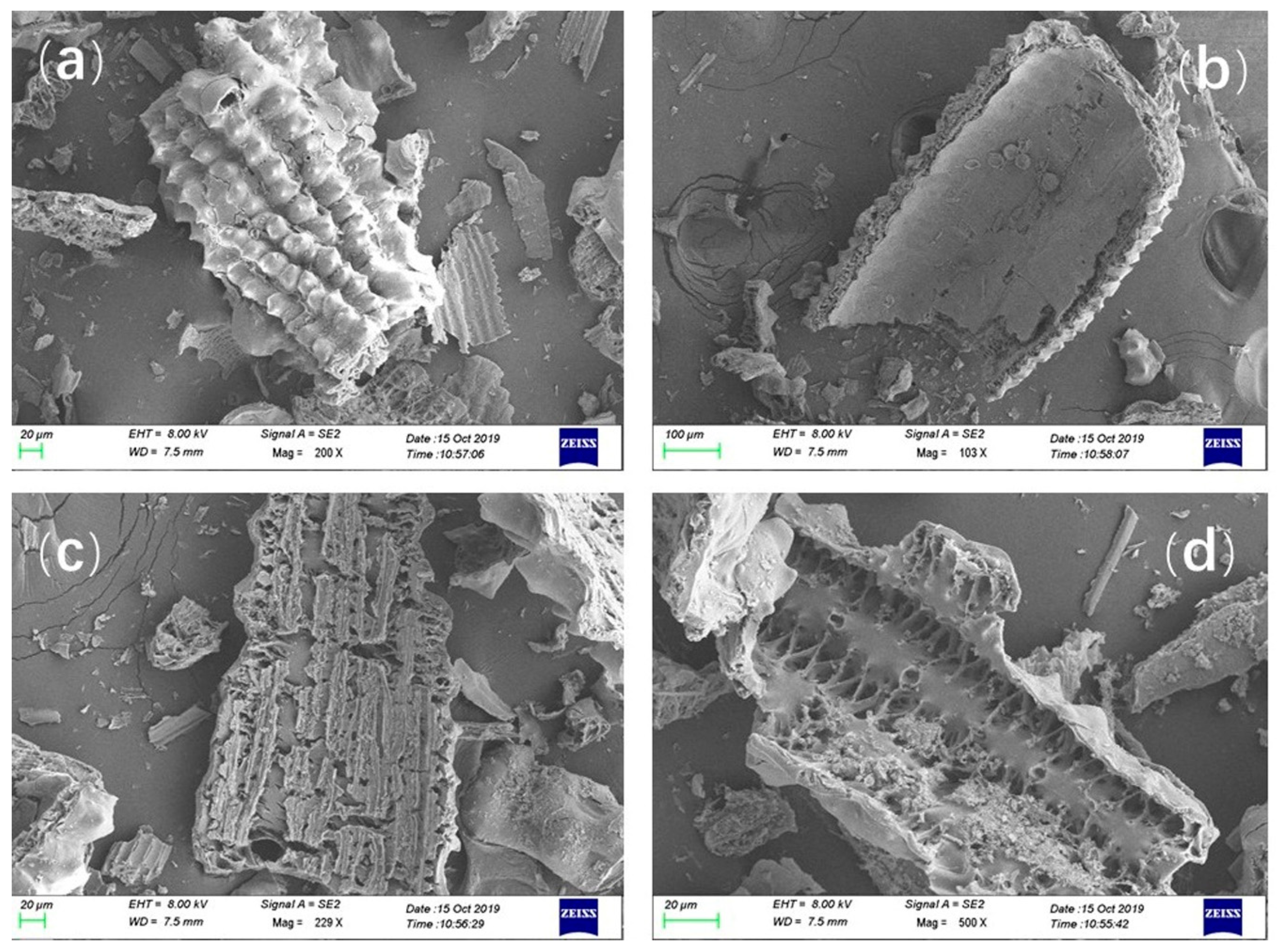 Materials 13 01524 g002 Materials 13 01524 g002