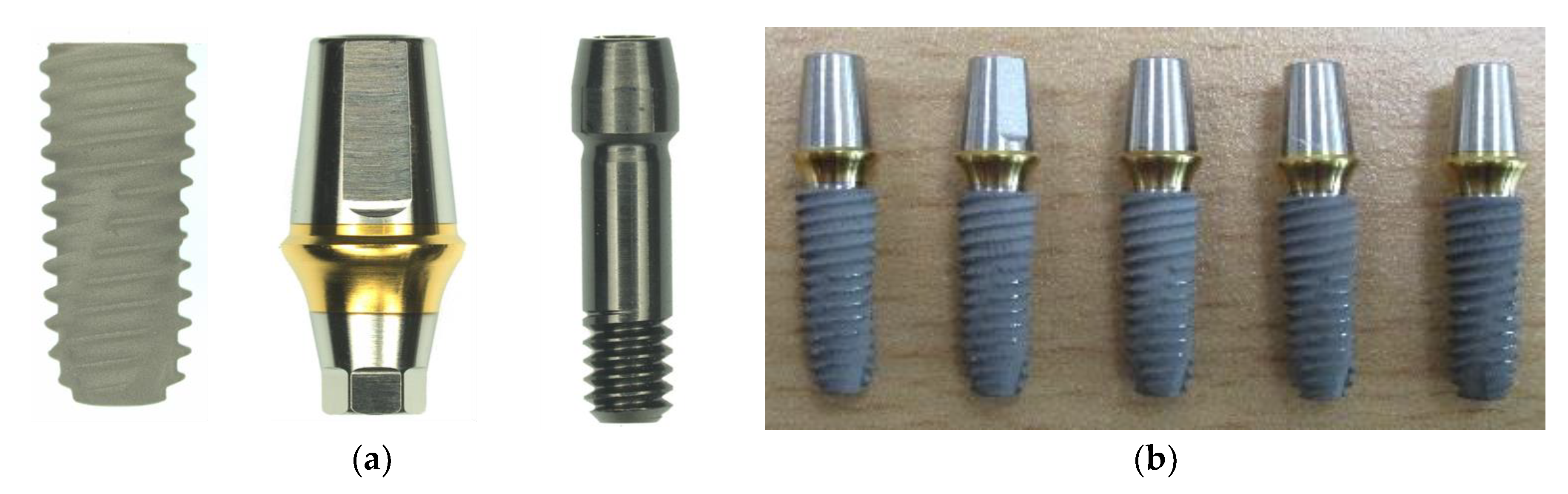 Materials 13 01545 g001