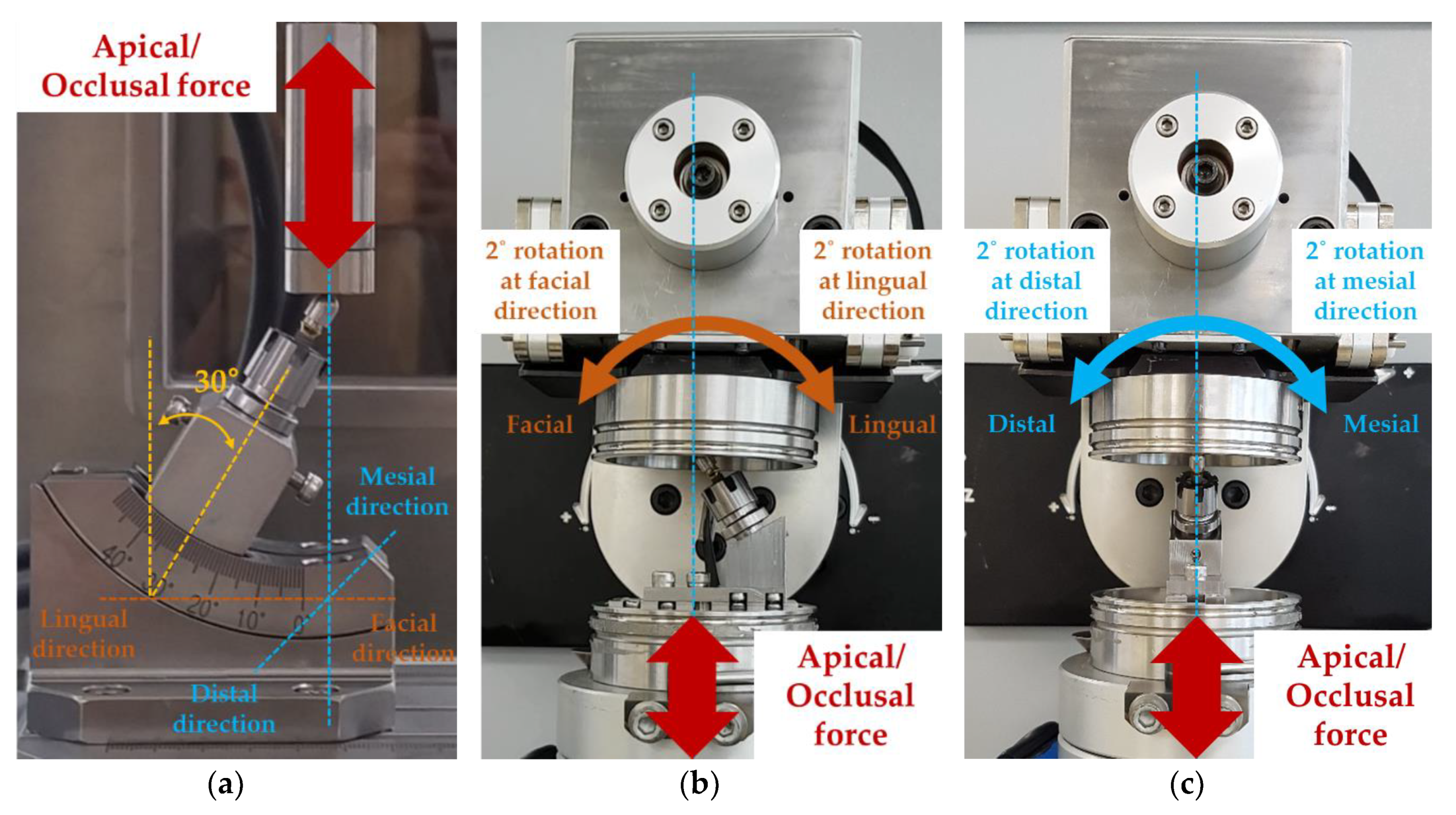 Materials 13 01545 g003