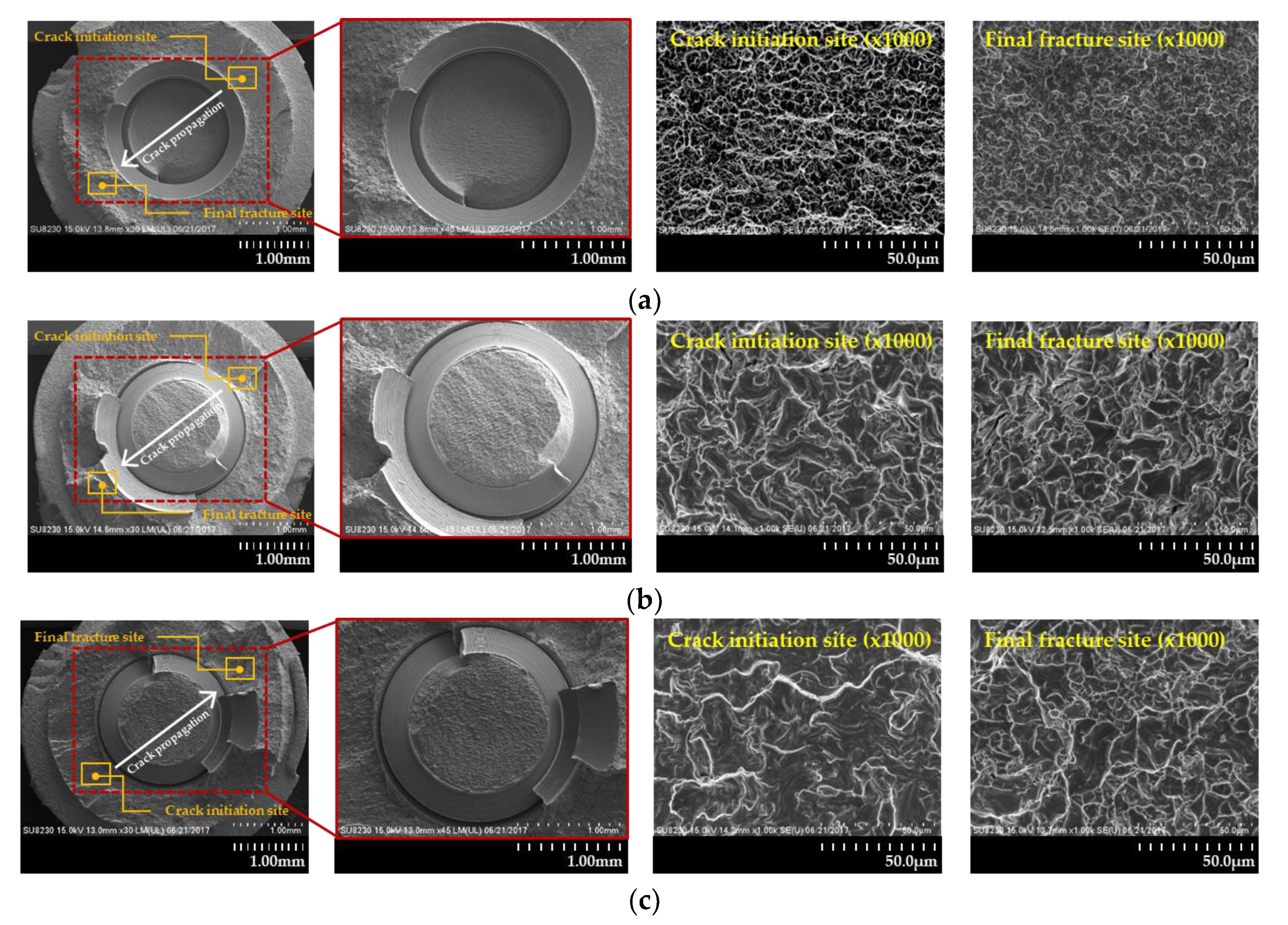 Materials 13 01545 g007
