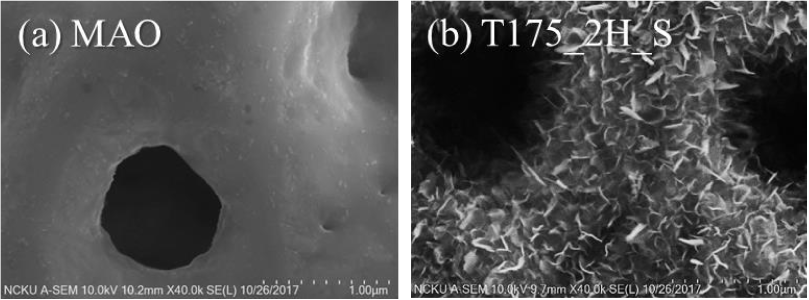 Materials 13 01548 g005