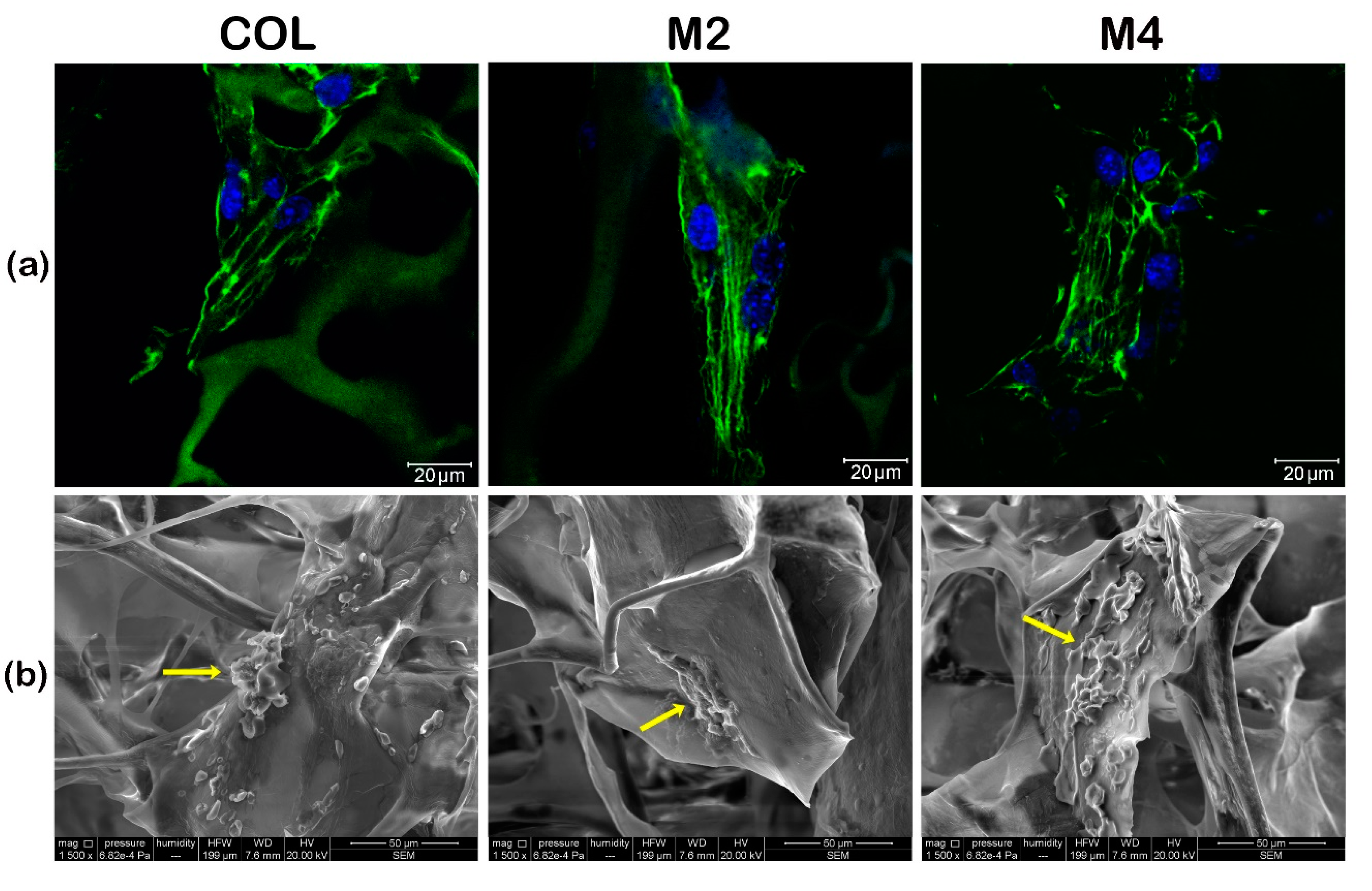 Materials 13 01550 g001