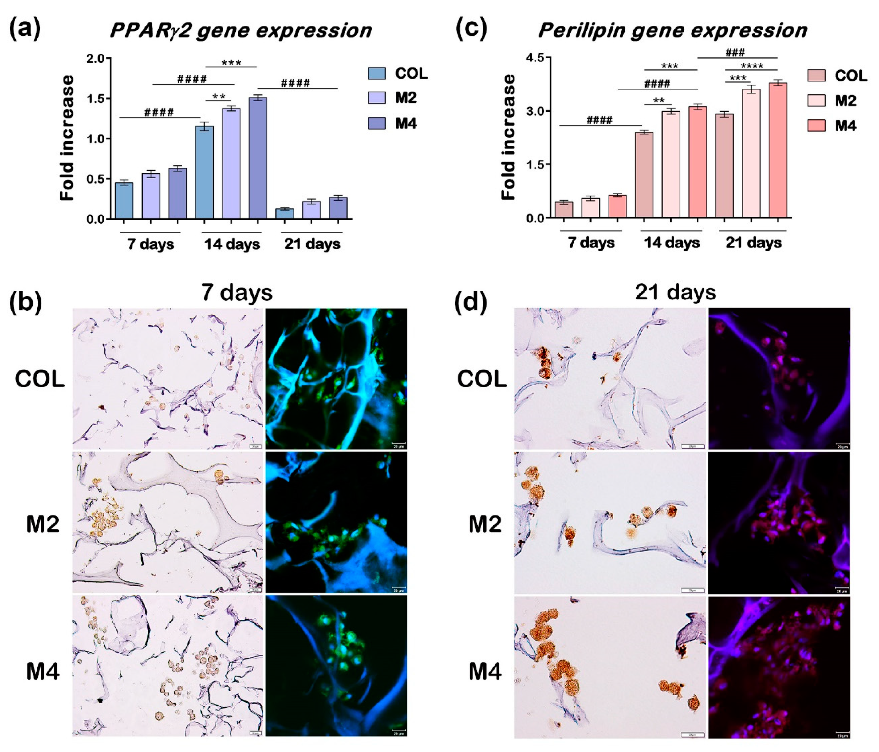 Materials 13 01550 g003