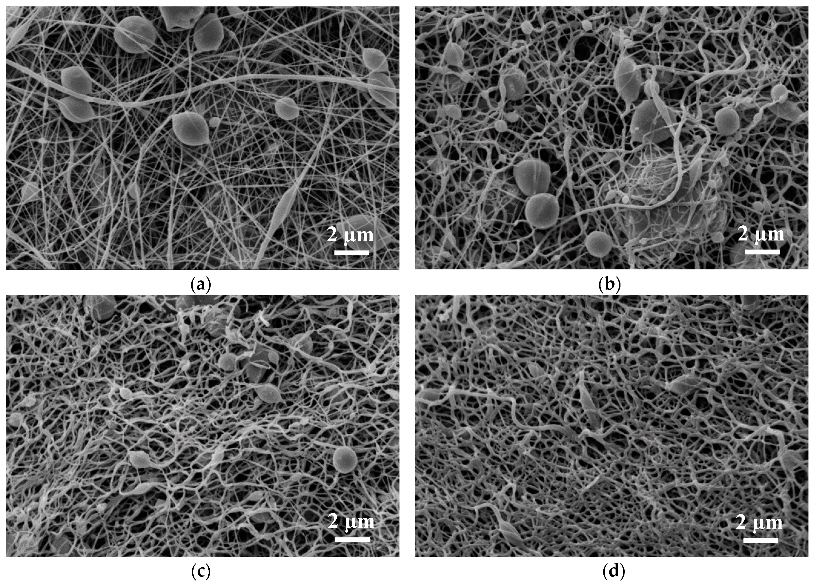 Materials 13 01552 g003 Materials 13 01552 g003
