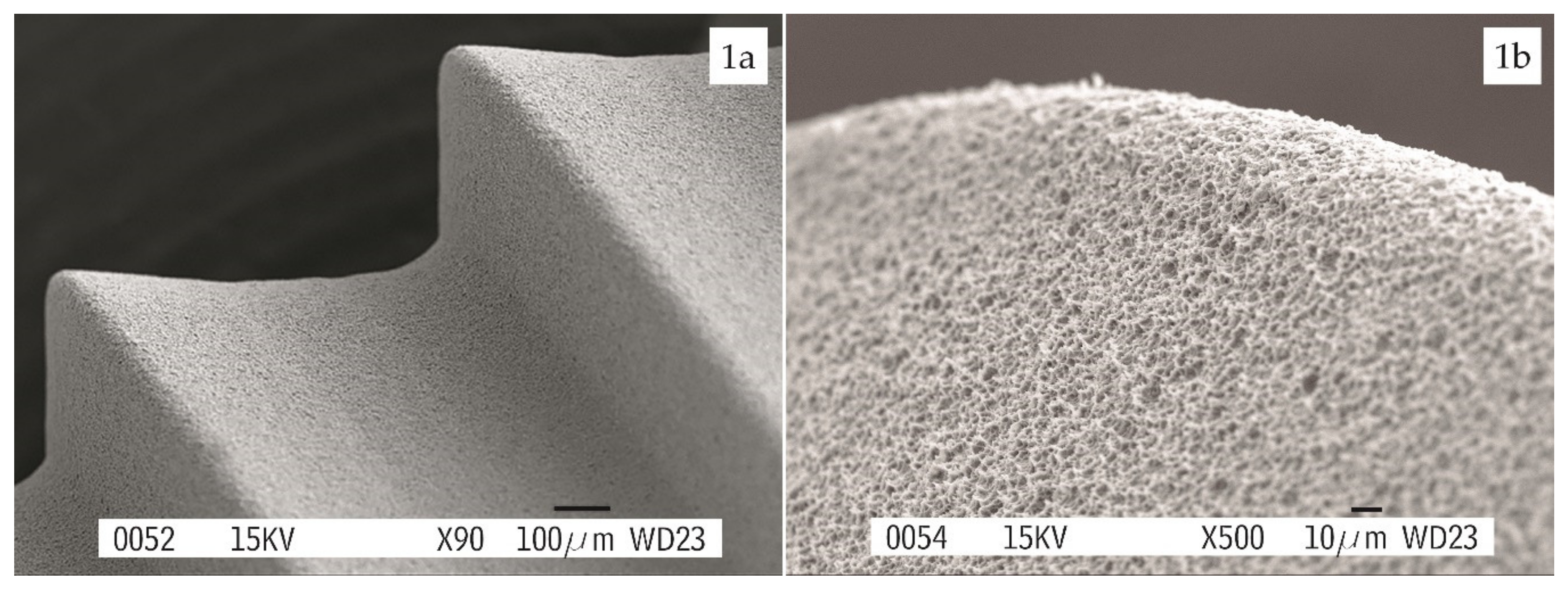 Materials 13 01553 g001 Materials 13 01553 g001