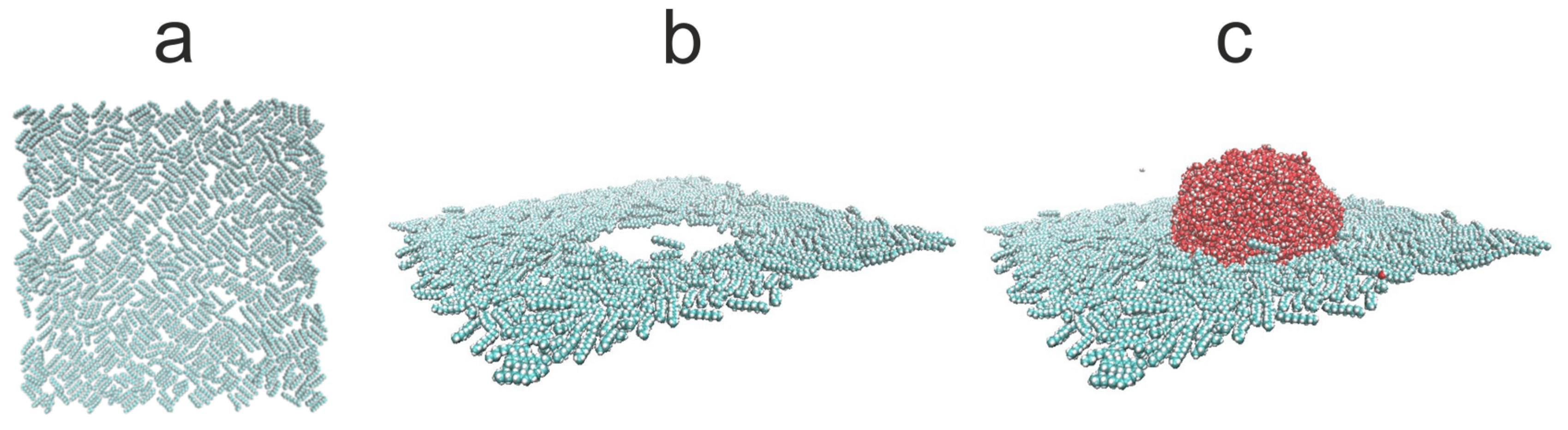 Materials 13 01554 g007 Materials 13 01554 g007