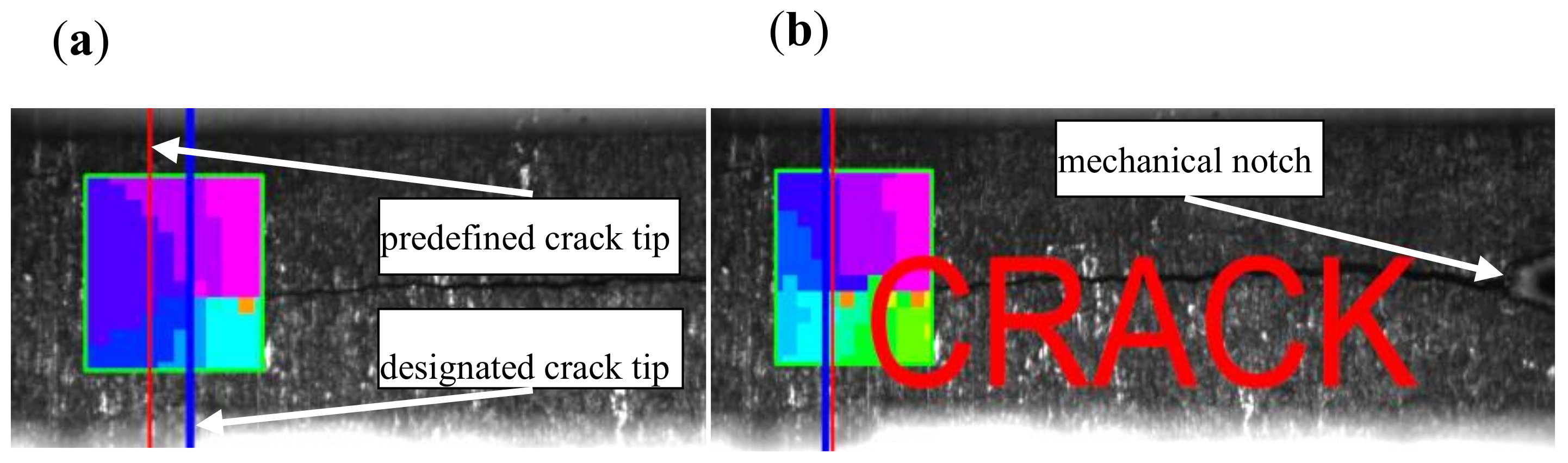 Materials 13 01555 g002