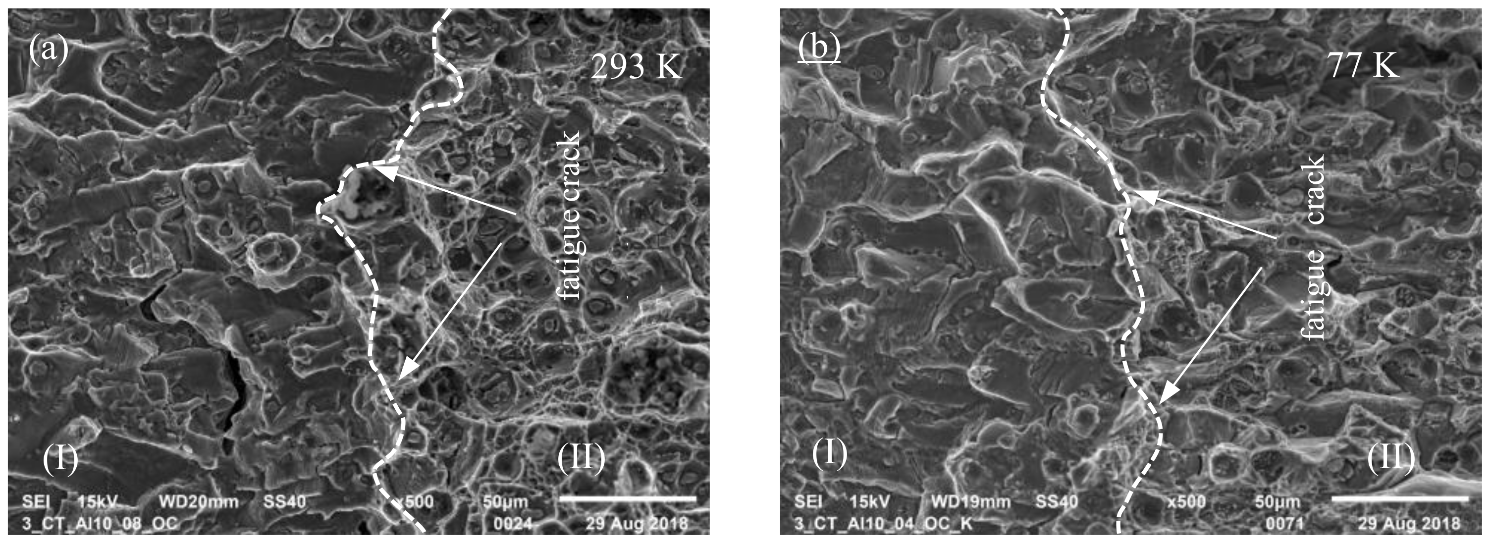 Materials 13 01555 g007