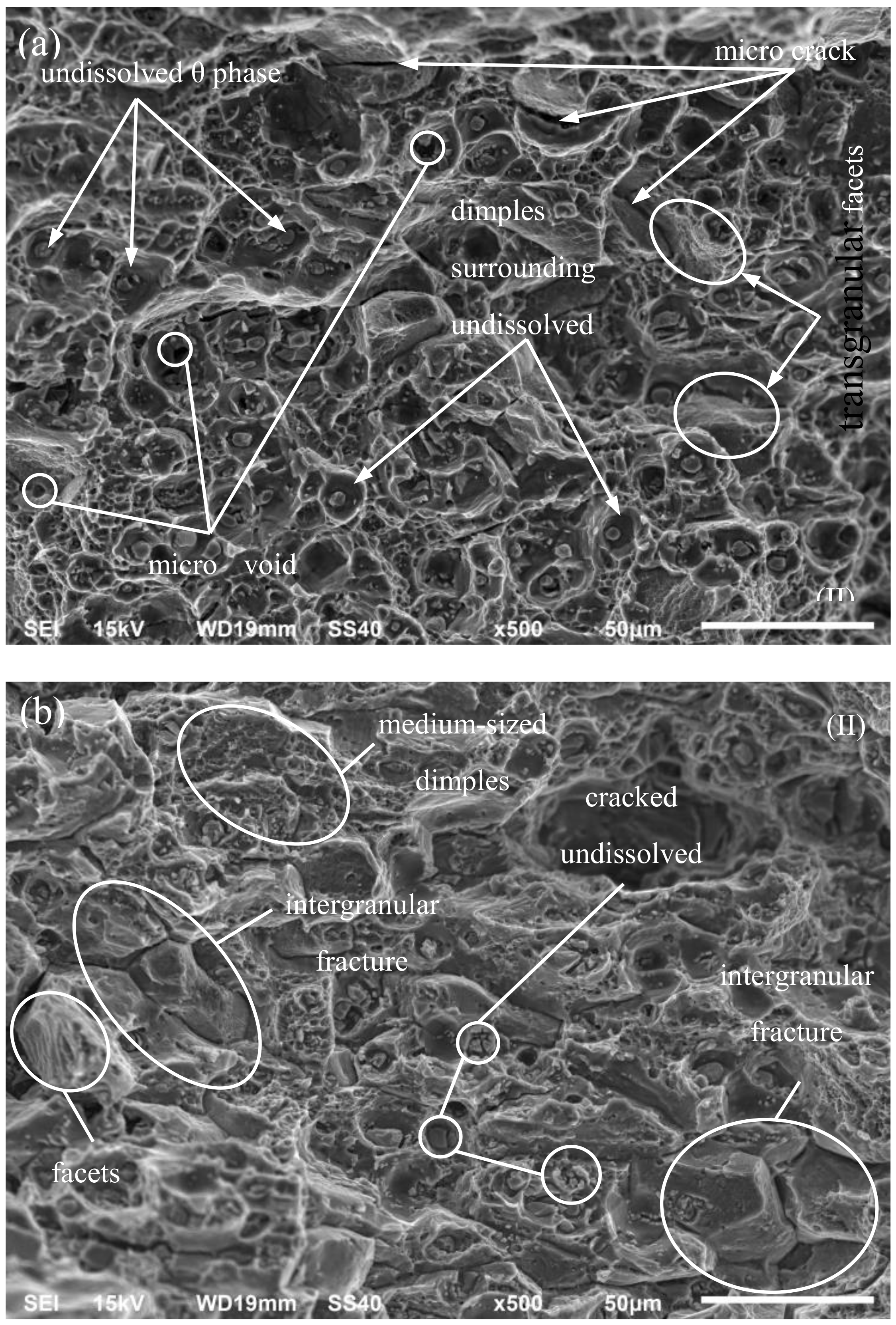 Materials 13 01555 g008