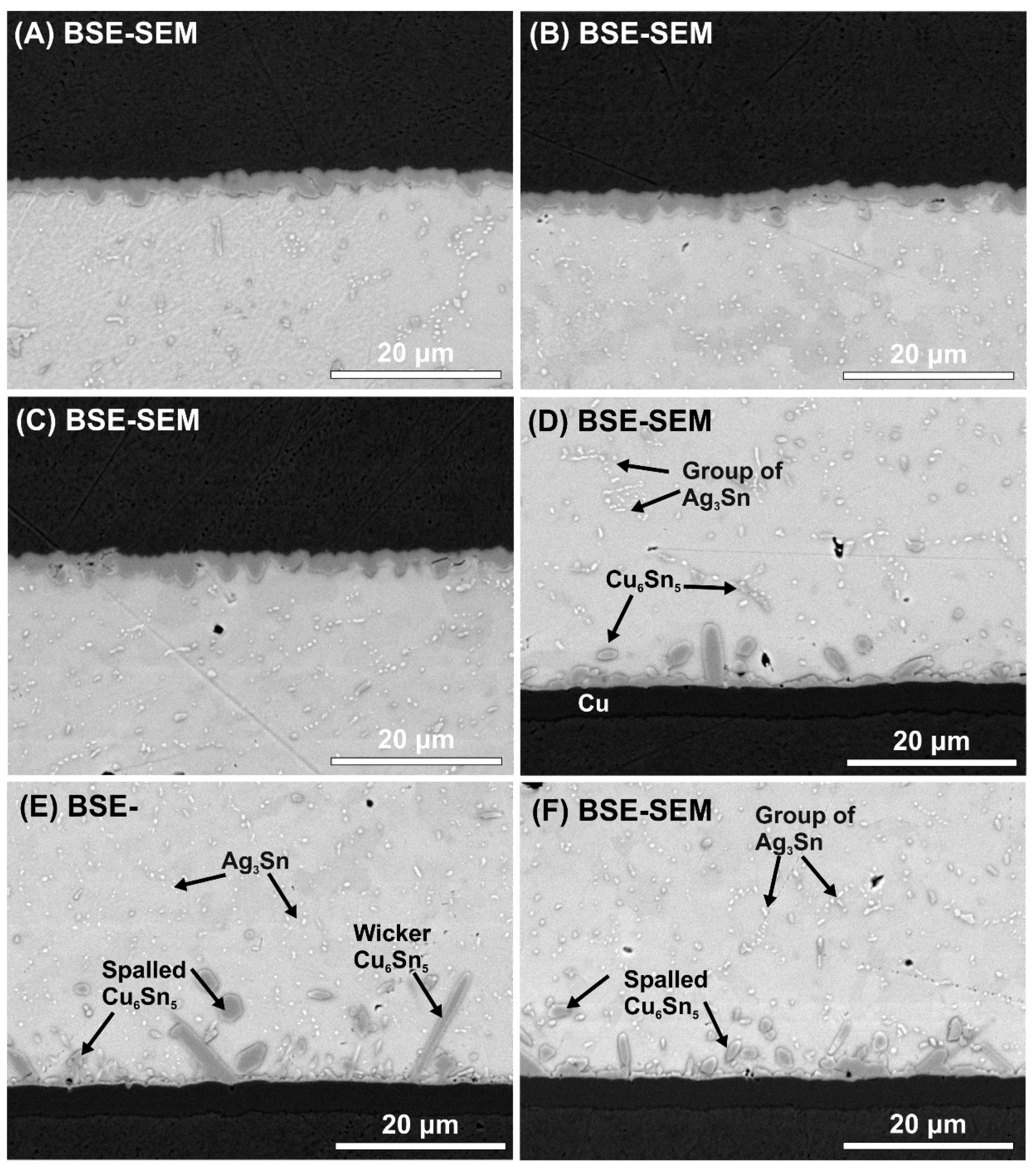 Materials 13 01563 g007 Materials 13 01563 g007