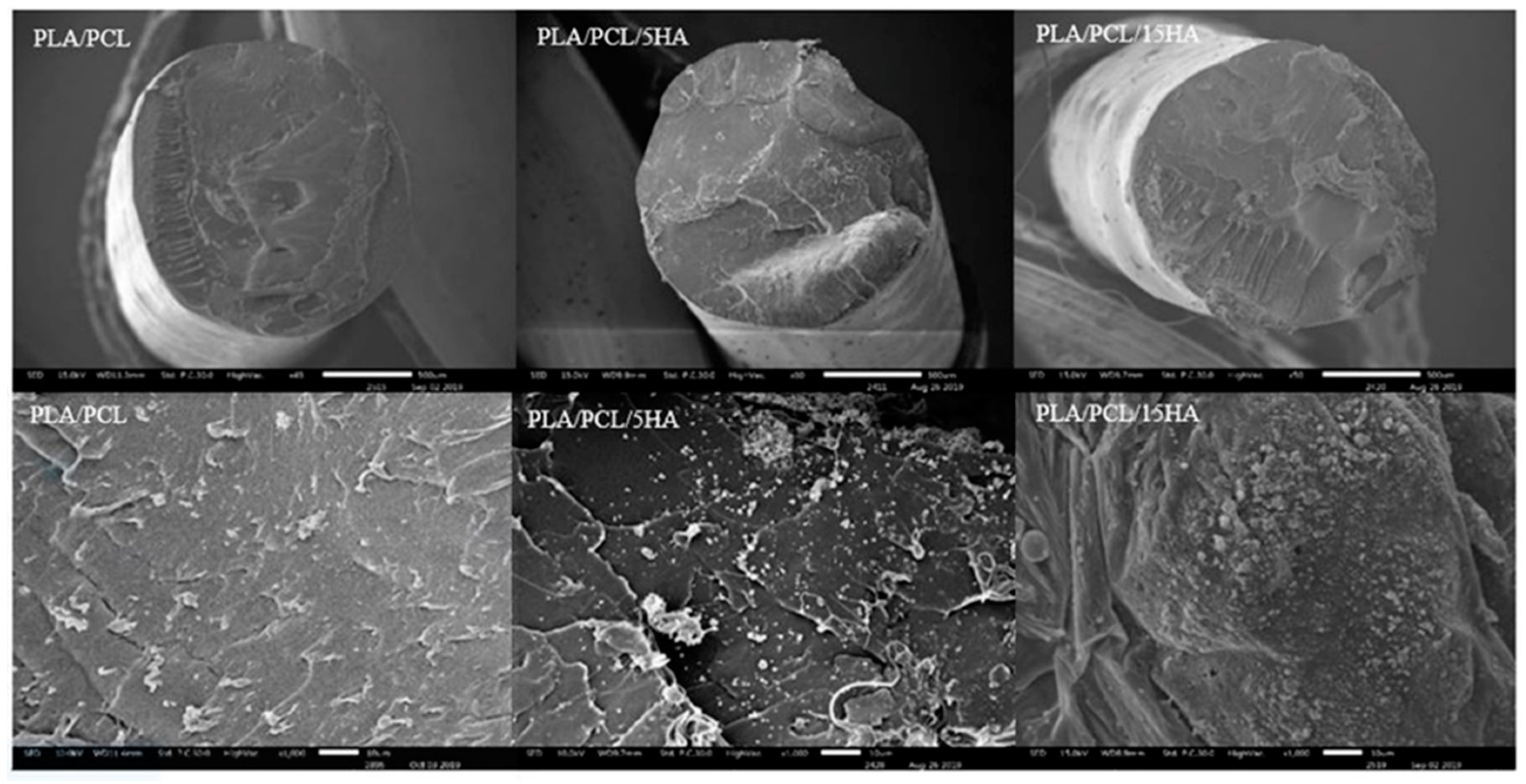 Materials 13 01564 g007